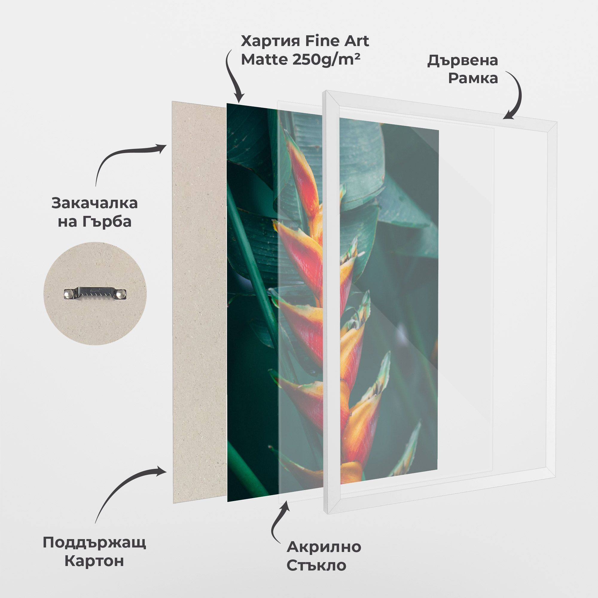 Red Orange Exotic mockup 1