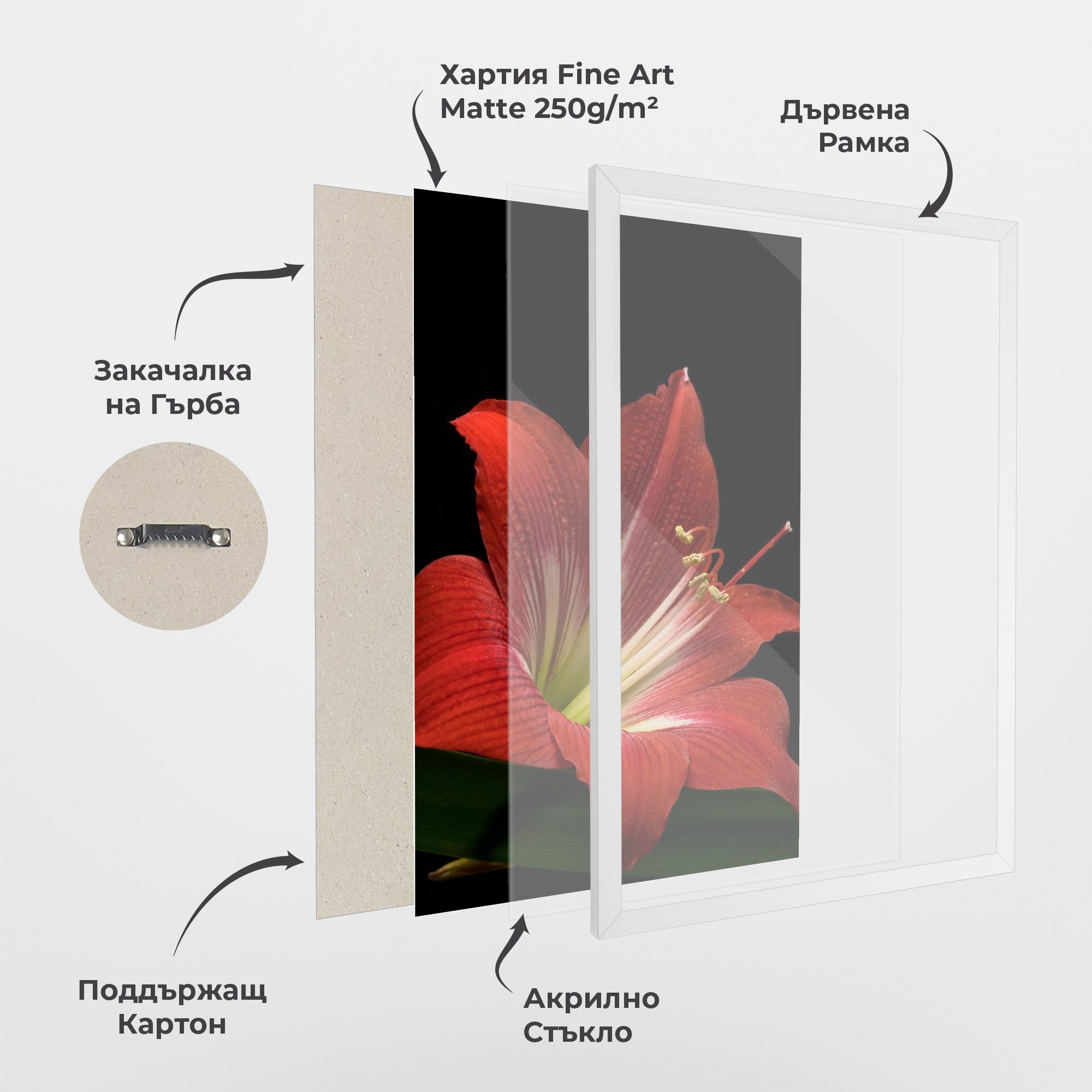 Red Yellow Exotic mockup 1