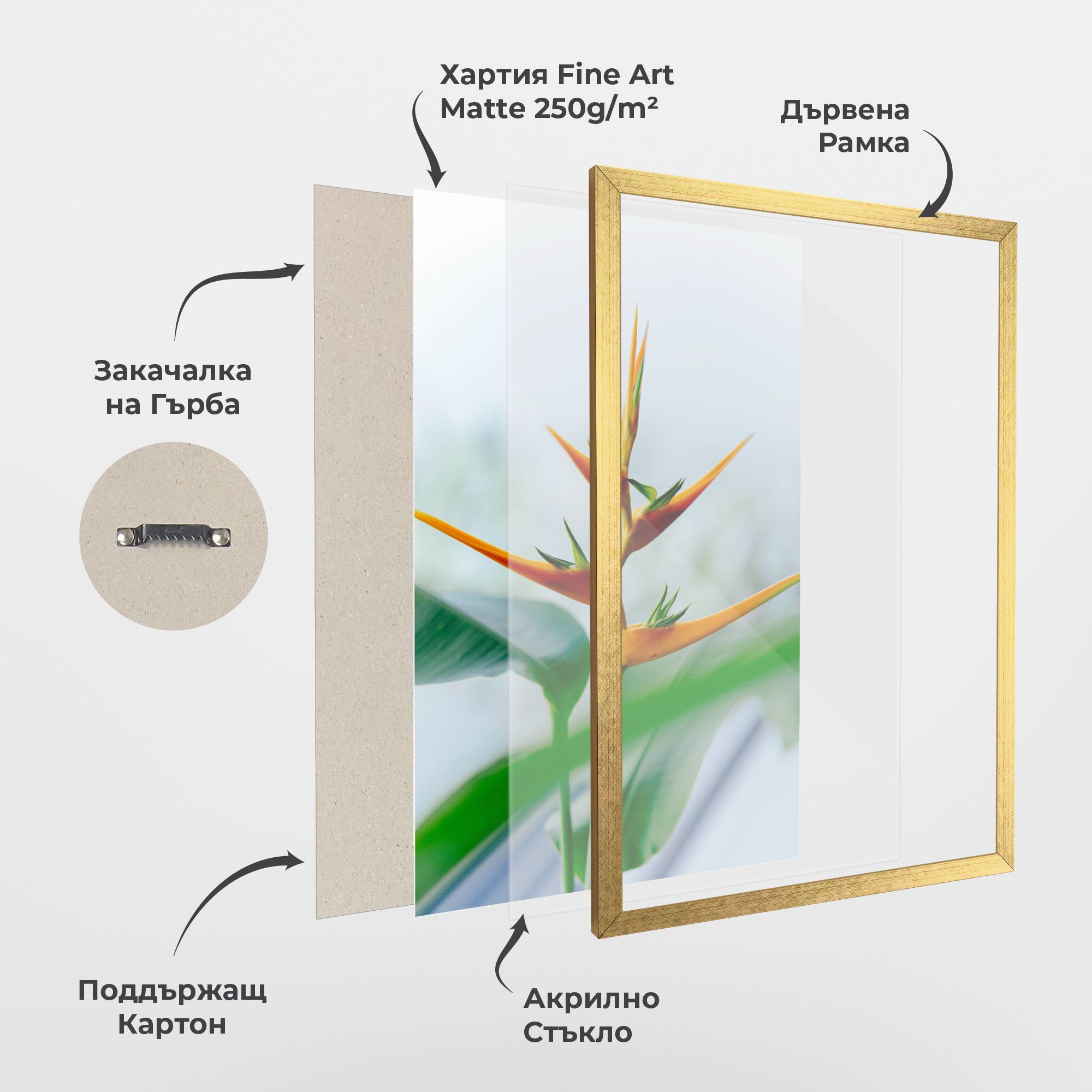 Exotic Orange Green mockup 1