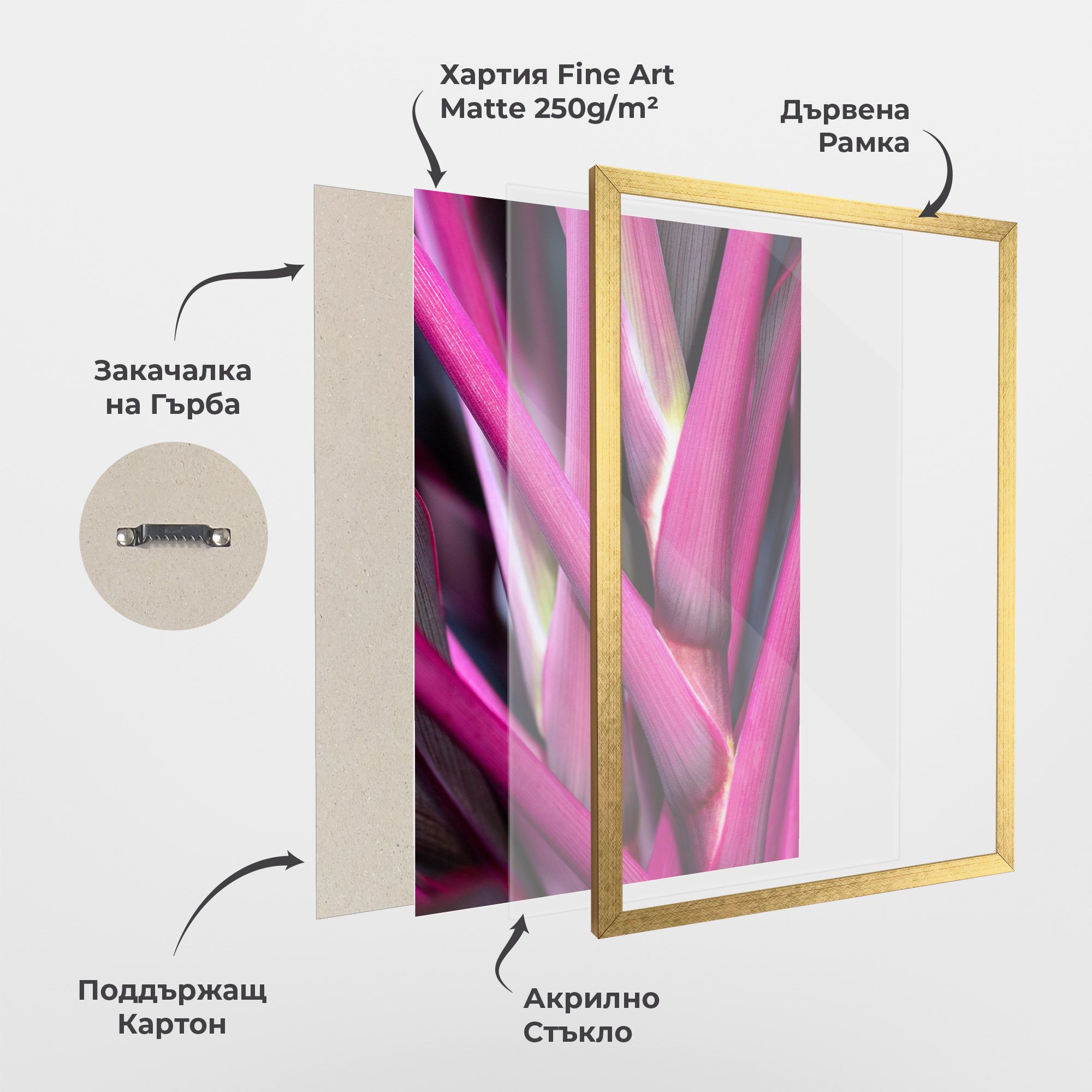 Purple Exotic Plant mockup 1