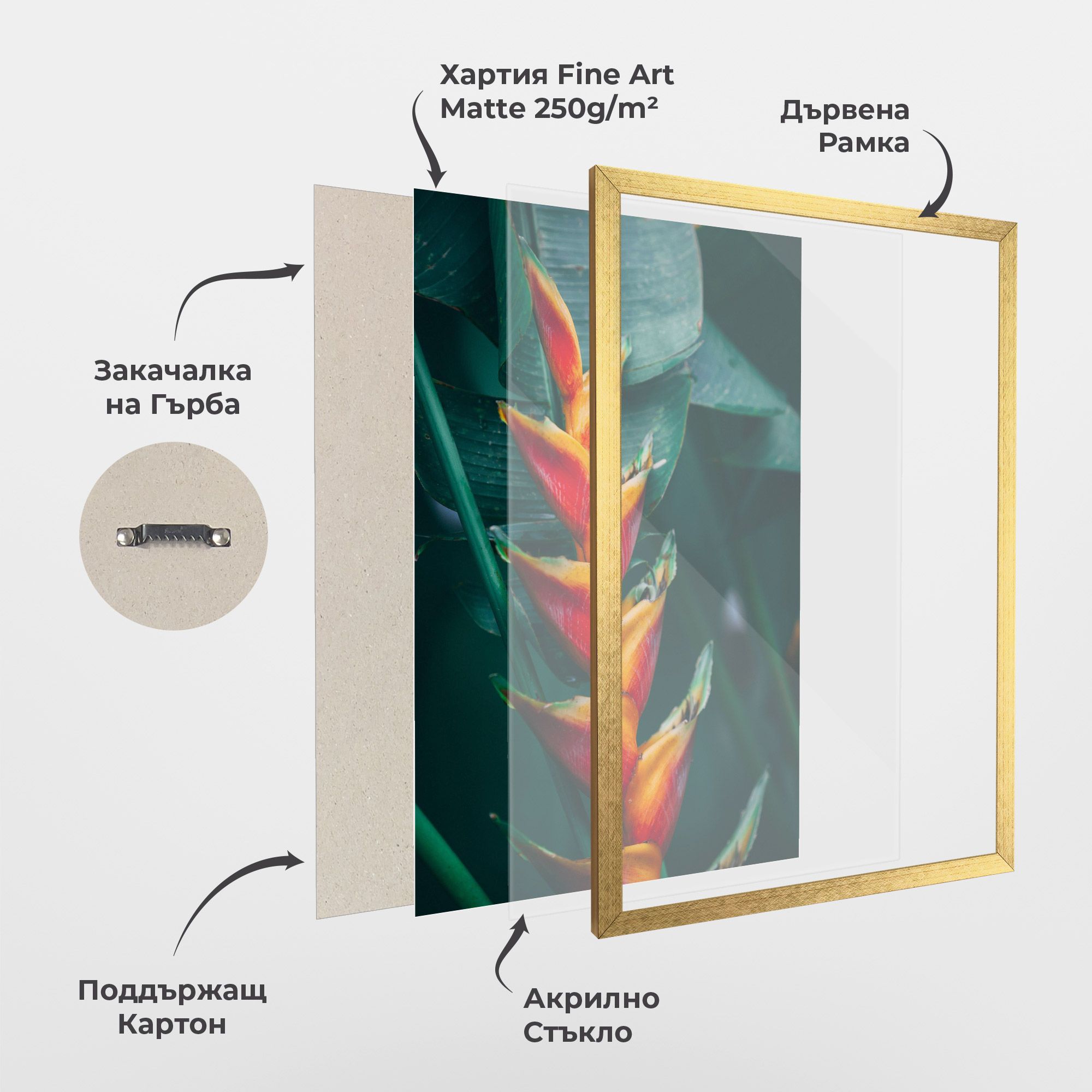 Red Orange Exotic mockup 1