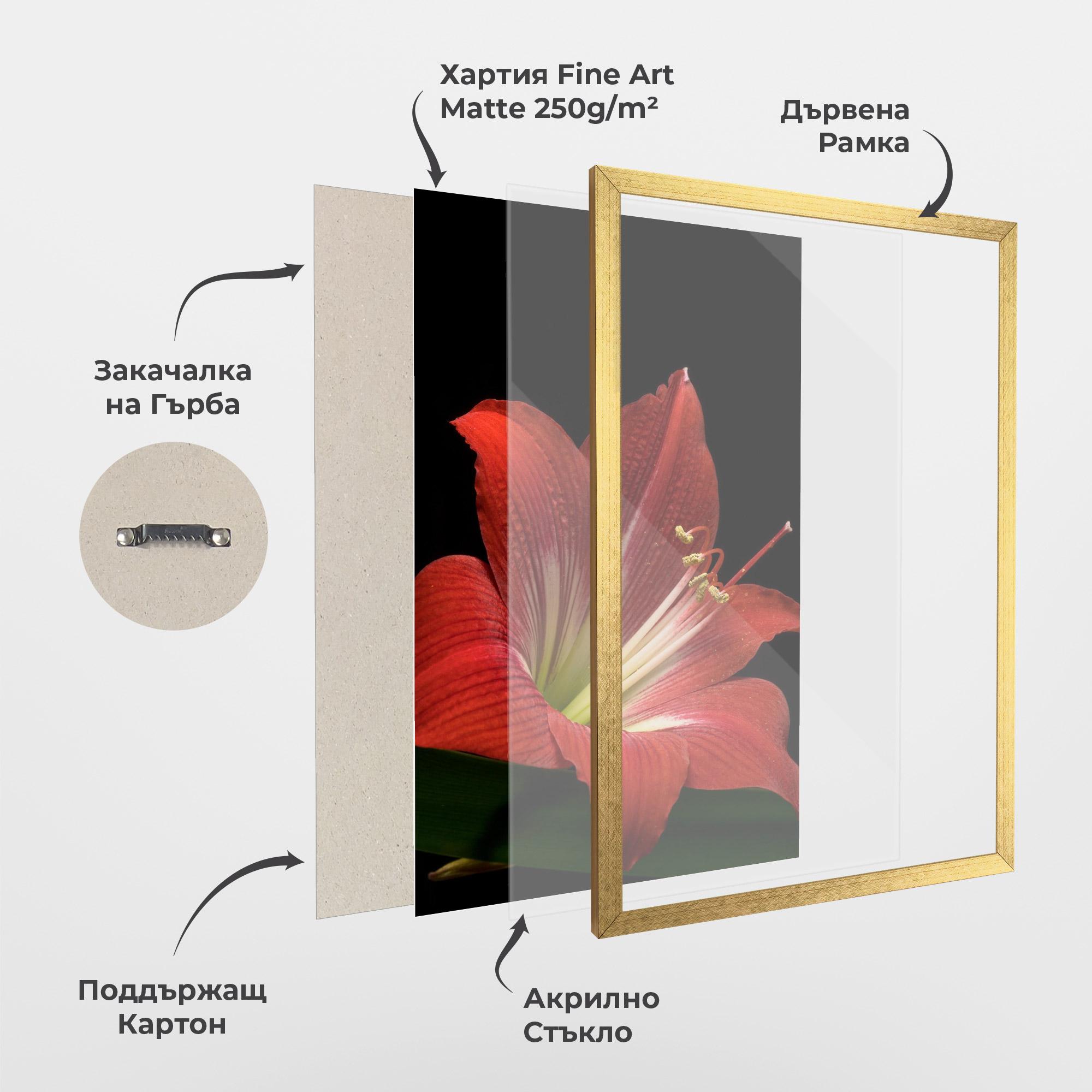 Рамкиран постер Red Yellow Exotic mockup 1