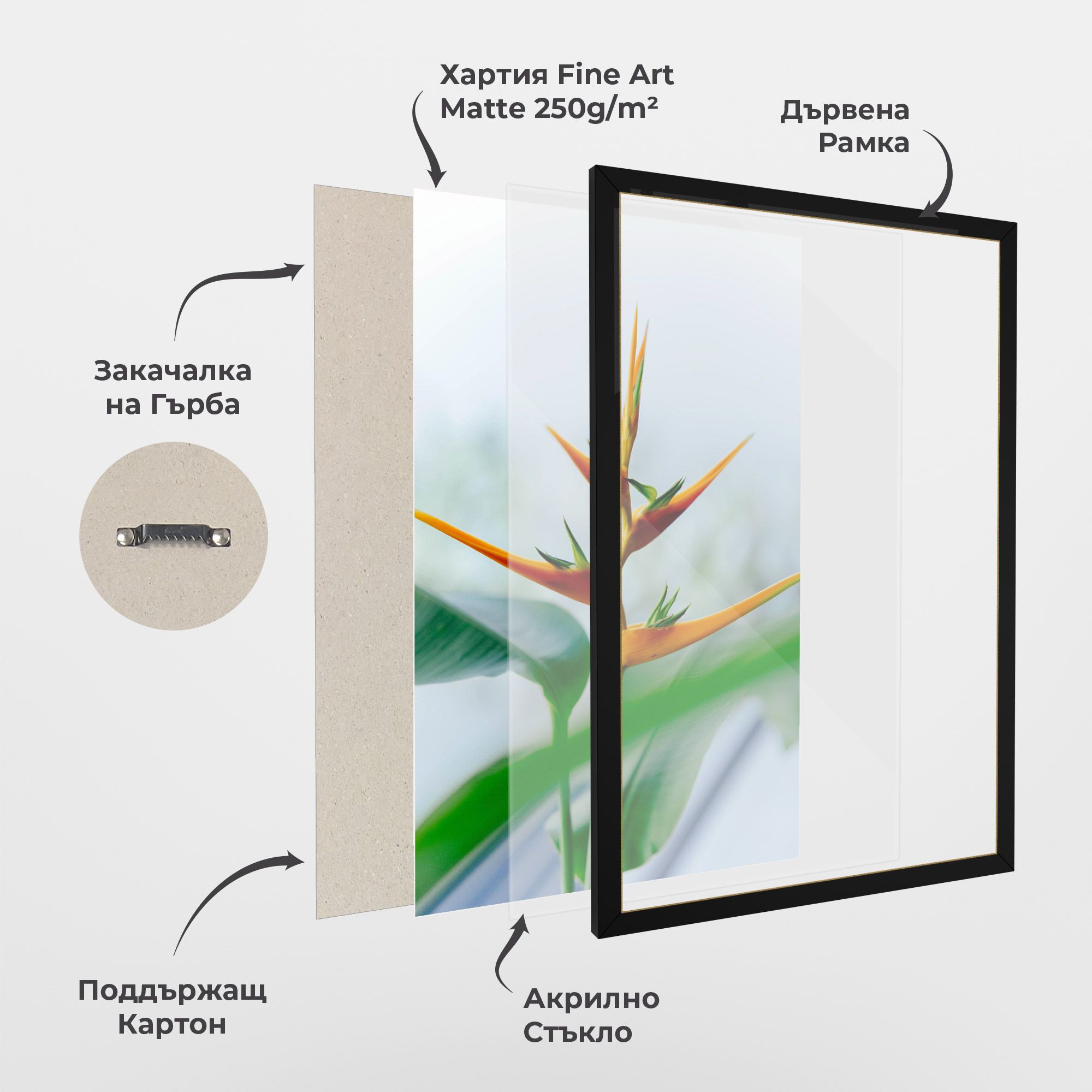 Exotic Orange Green mockup 1