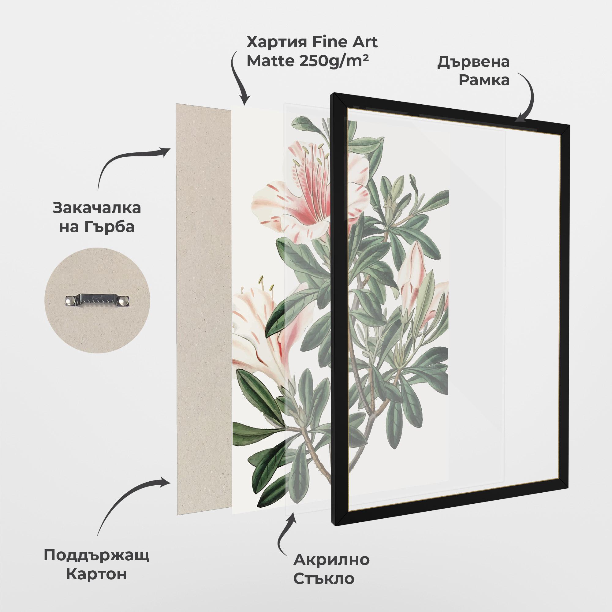 Рамкиран постер Exotic White Red mockup 1