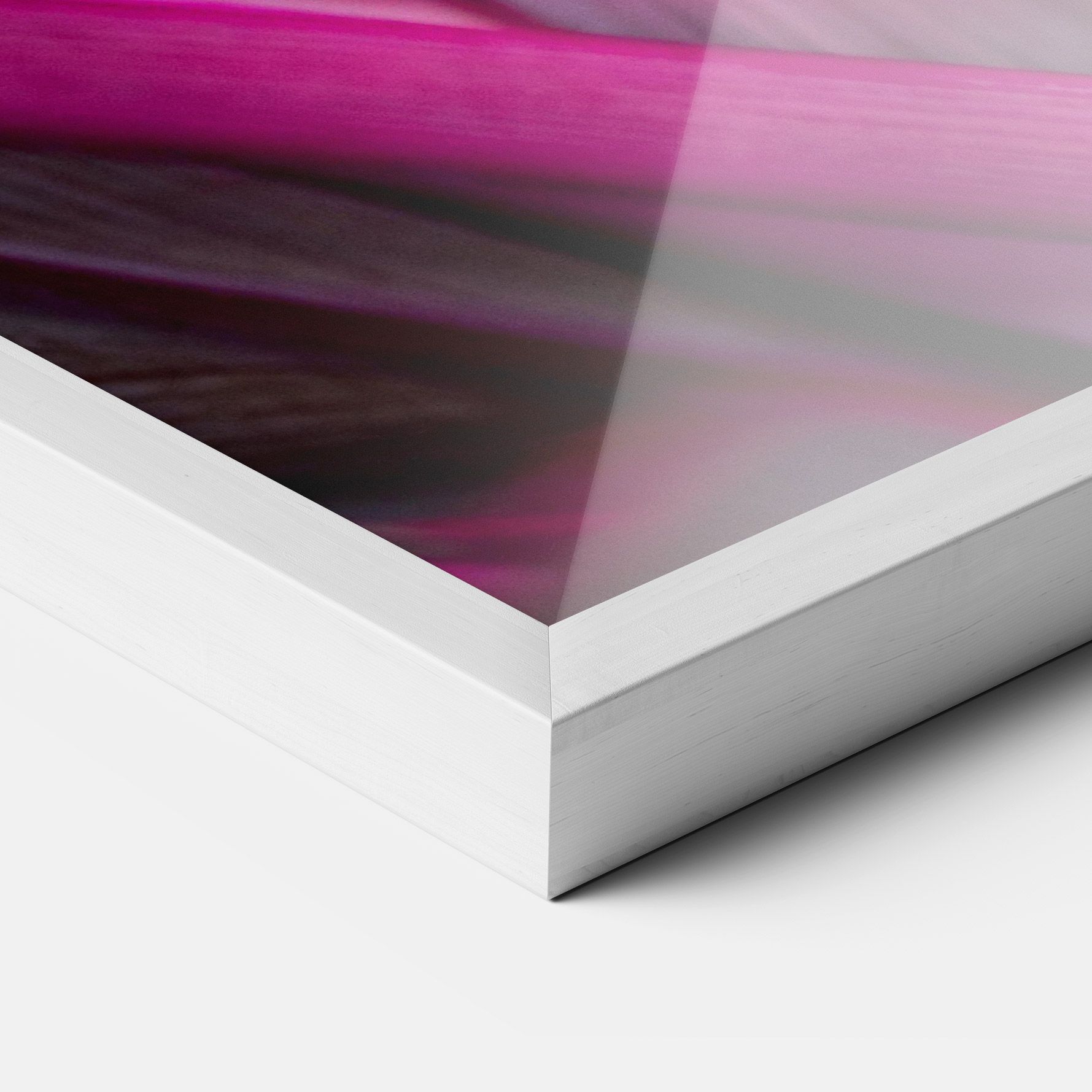 Purple Exotic Plant mockup 3