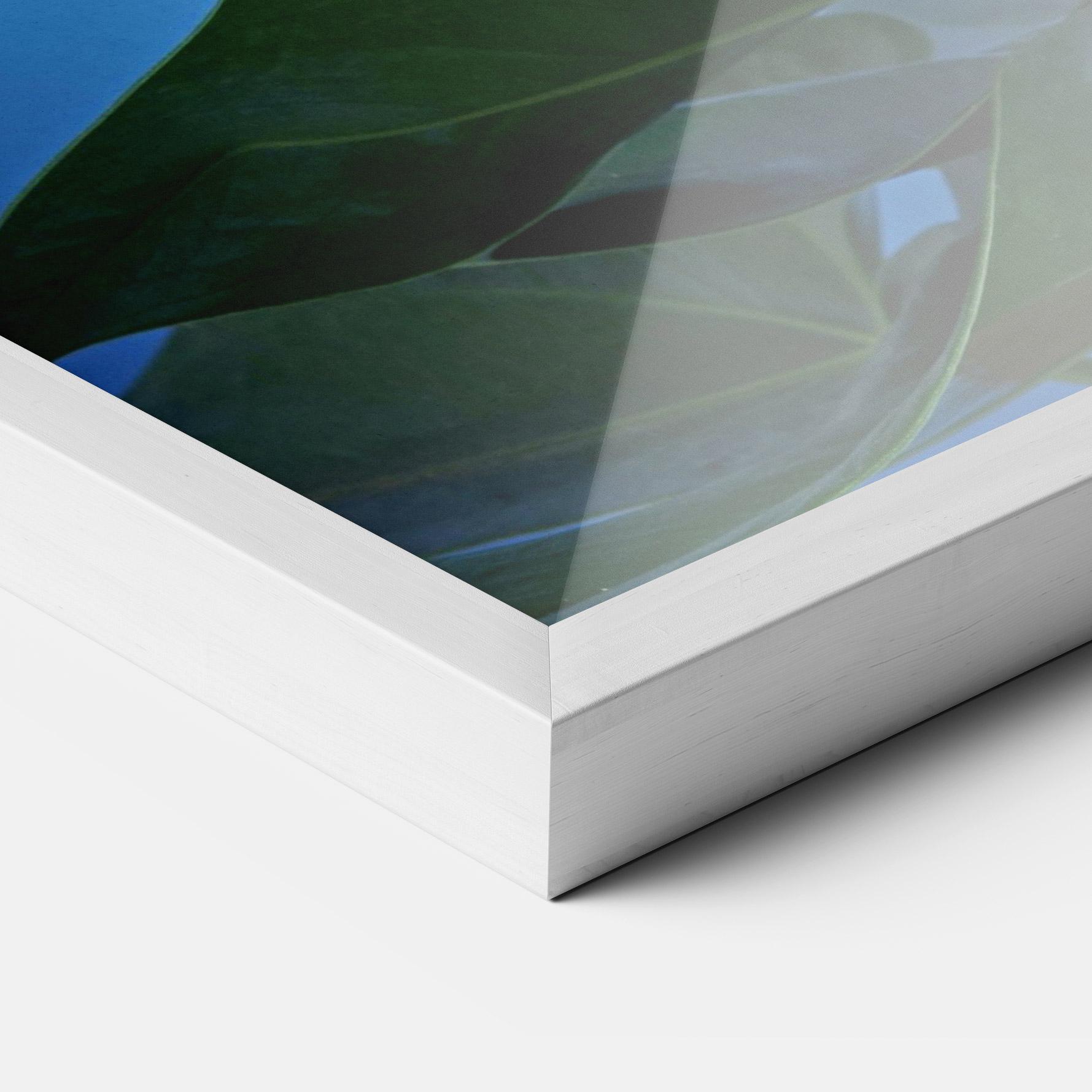 Рамкиран постер Red Green Exotic mockup 3