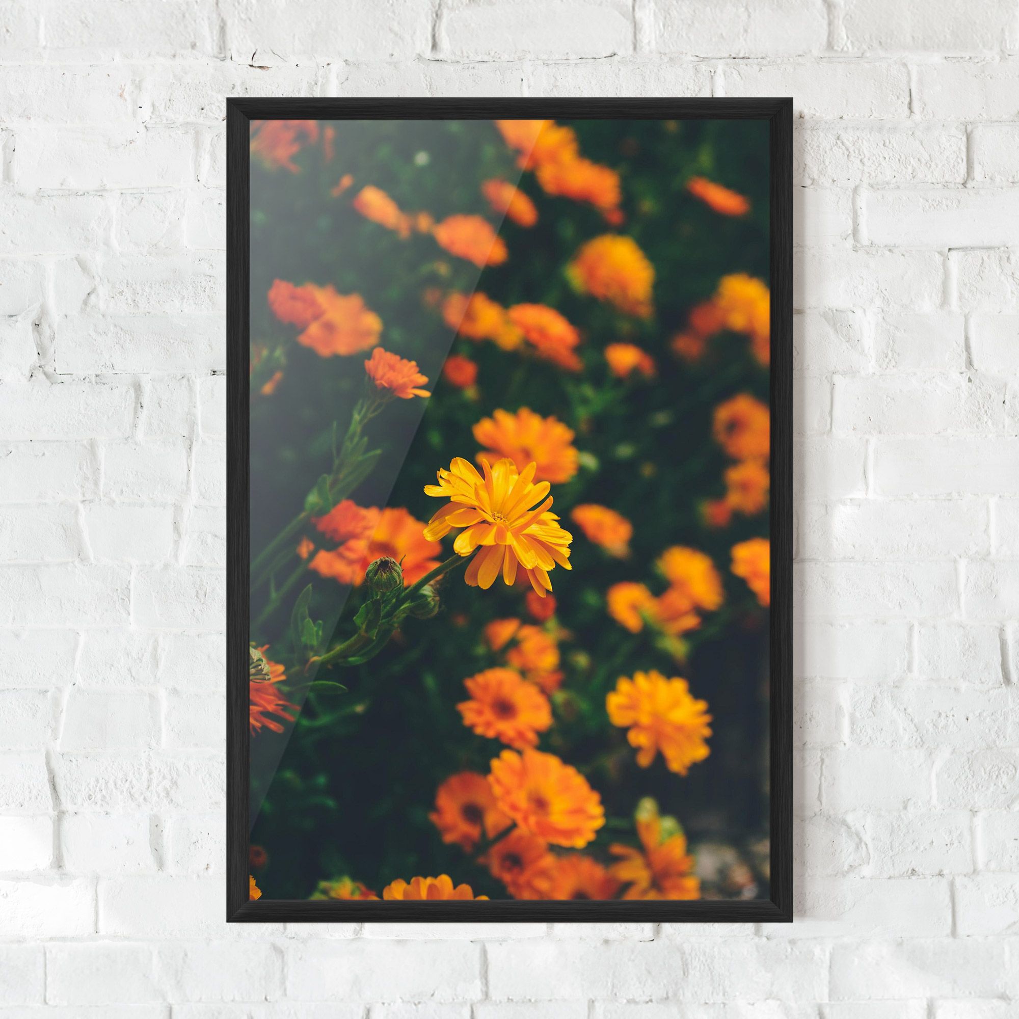 Garden Orange Flowers mockup 0