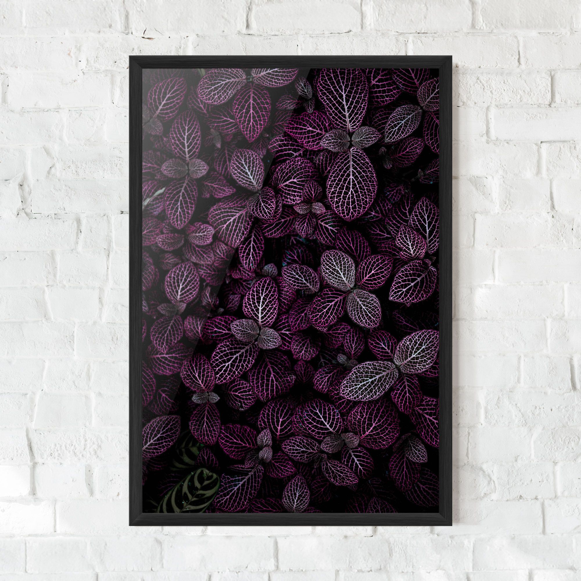 Purple Leaves mockup 0