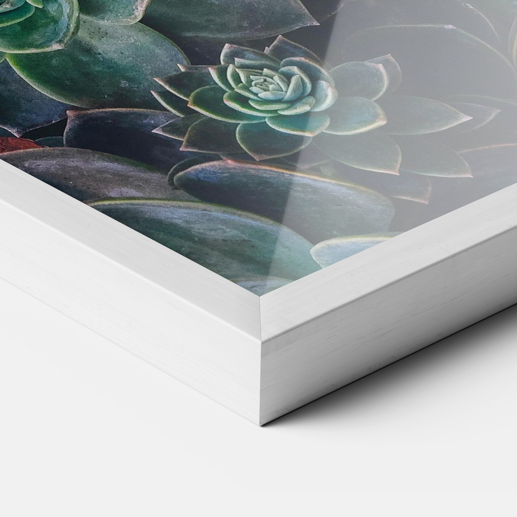 Green Lilac Tree mockup 3