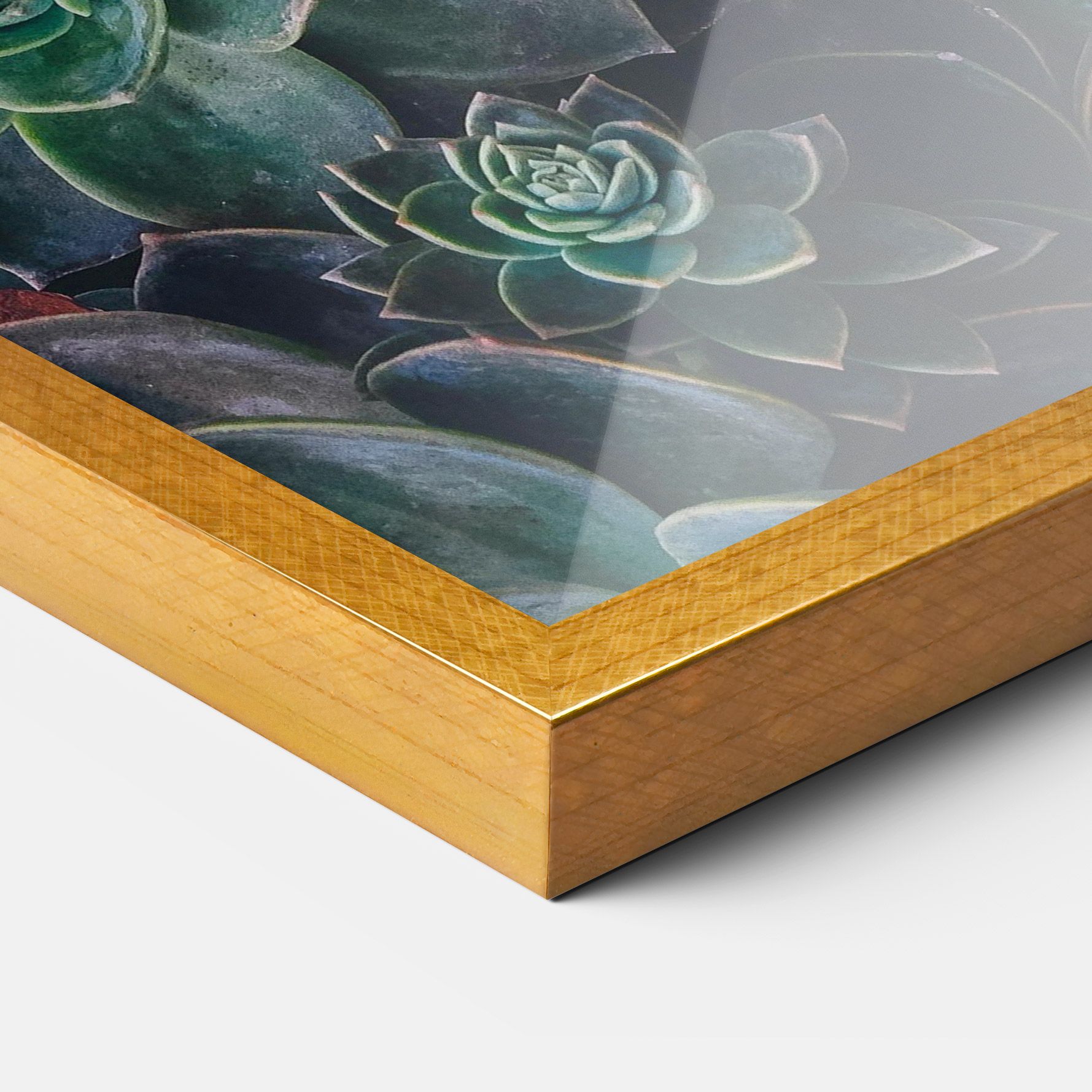 Green Lilac Tree mockup 3