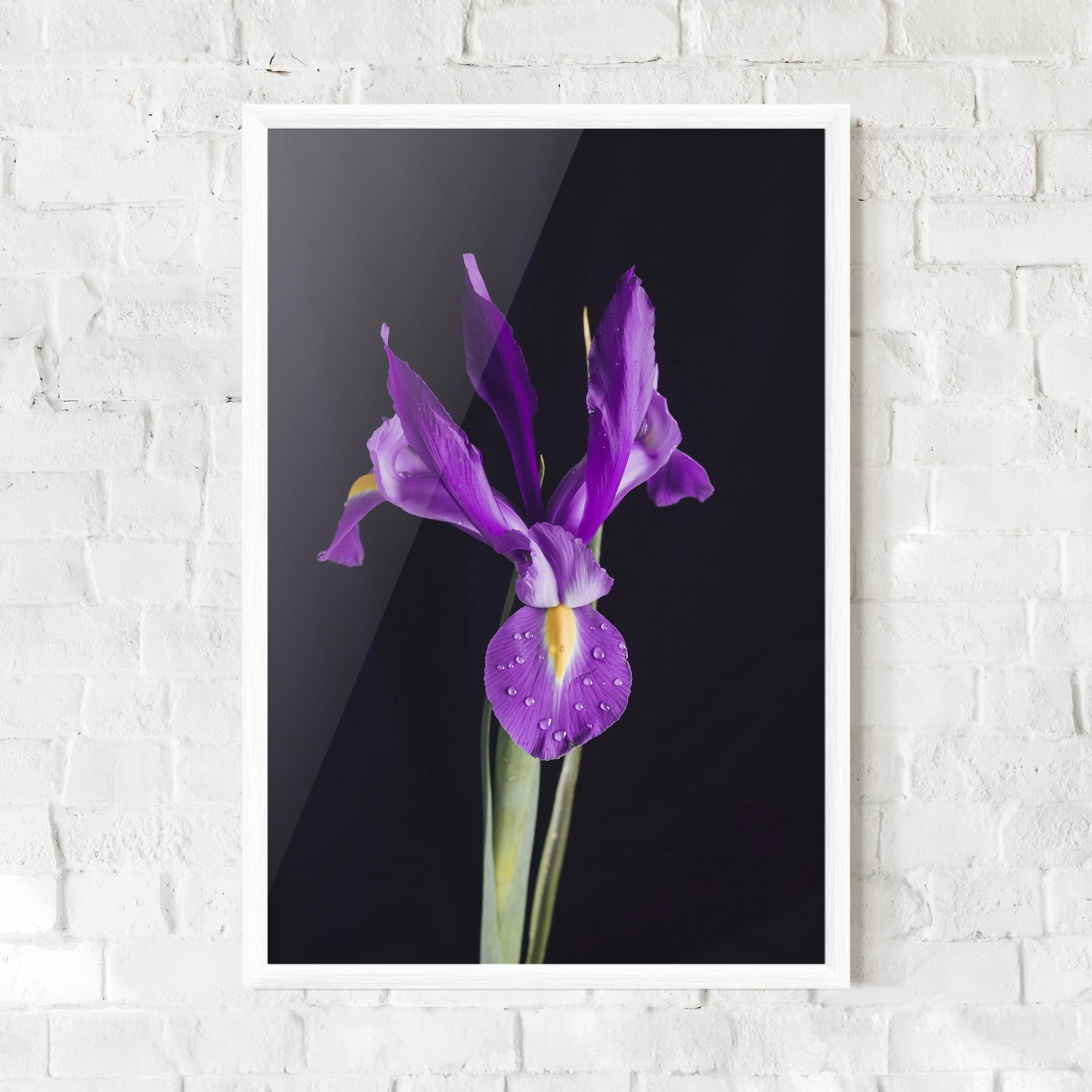 Рамкиран постер Fresh Purple Iris mockup 0