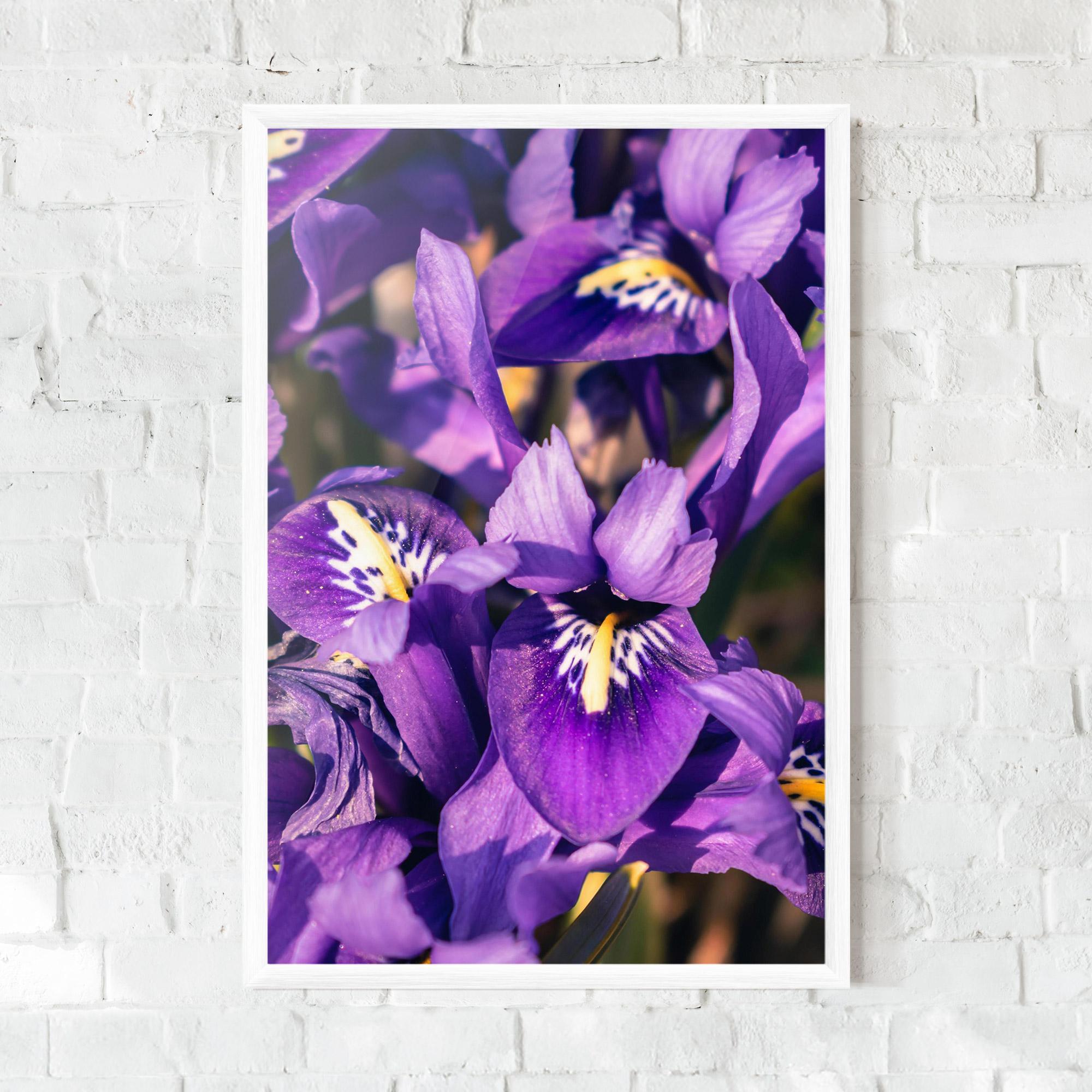 Рамкиран постер Small Purple Iris mockup 0