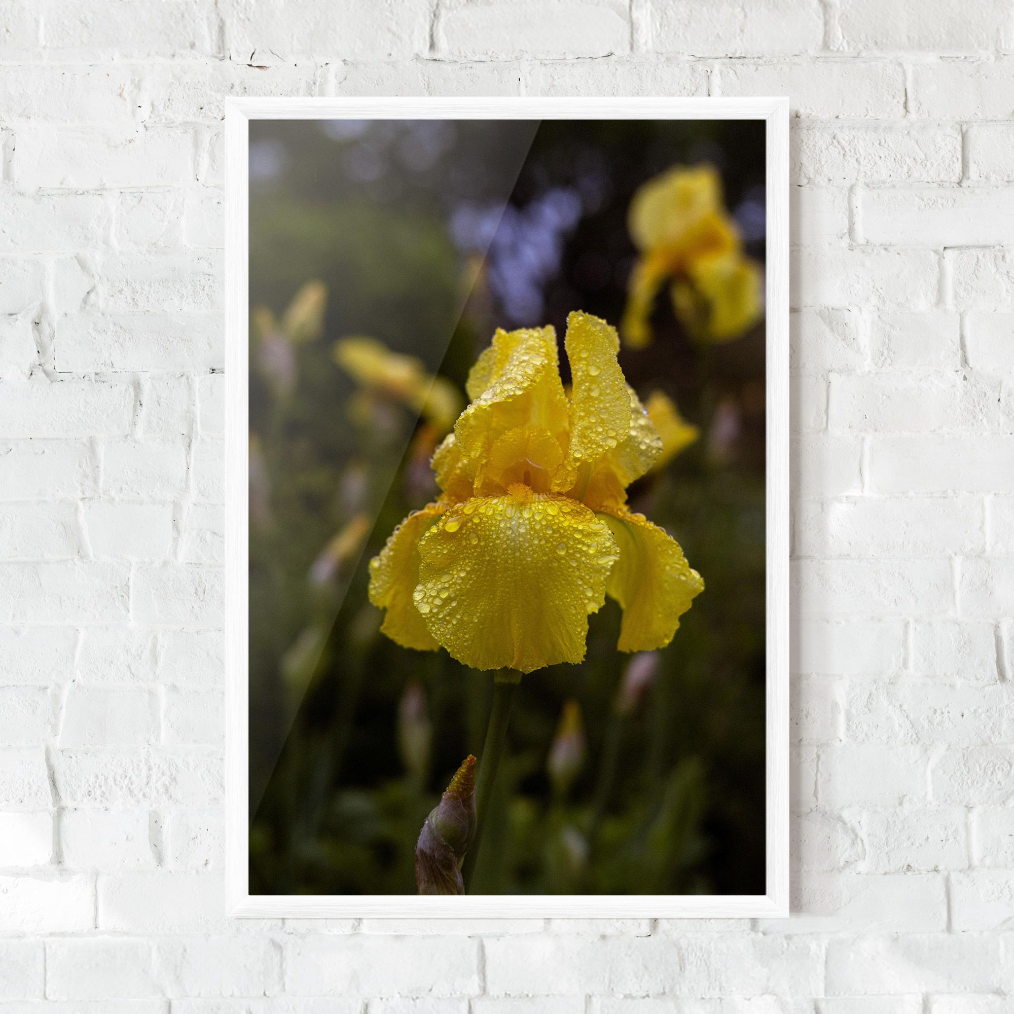 Yellow Iris After Rain mockup 0