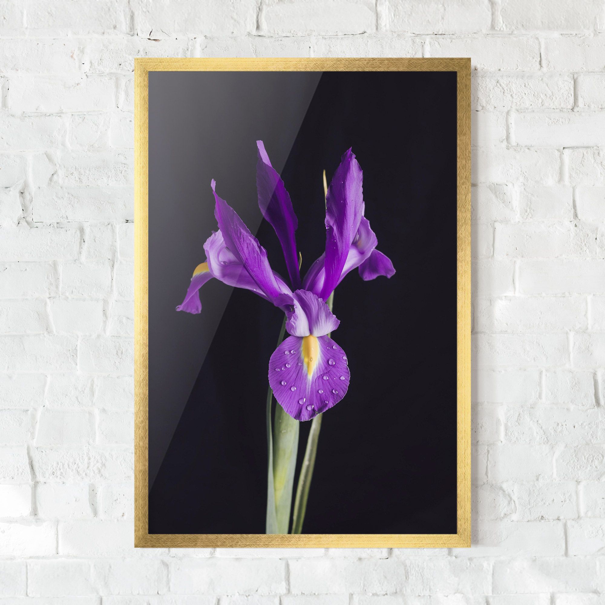 Fresh Purple Iris mockup 0
