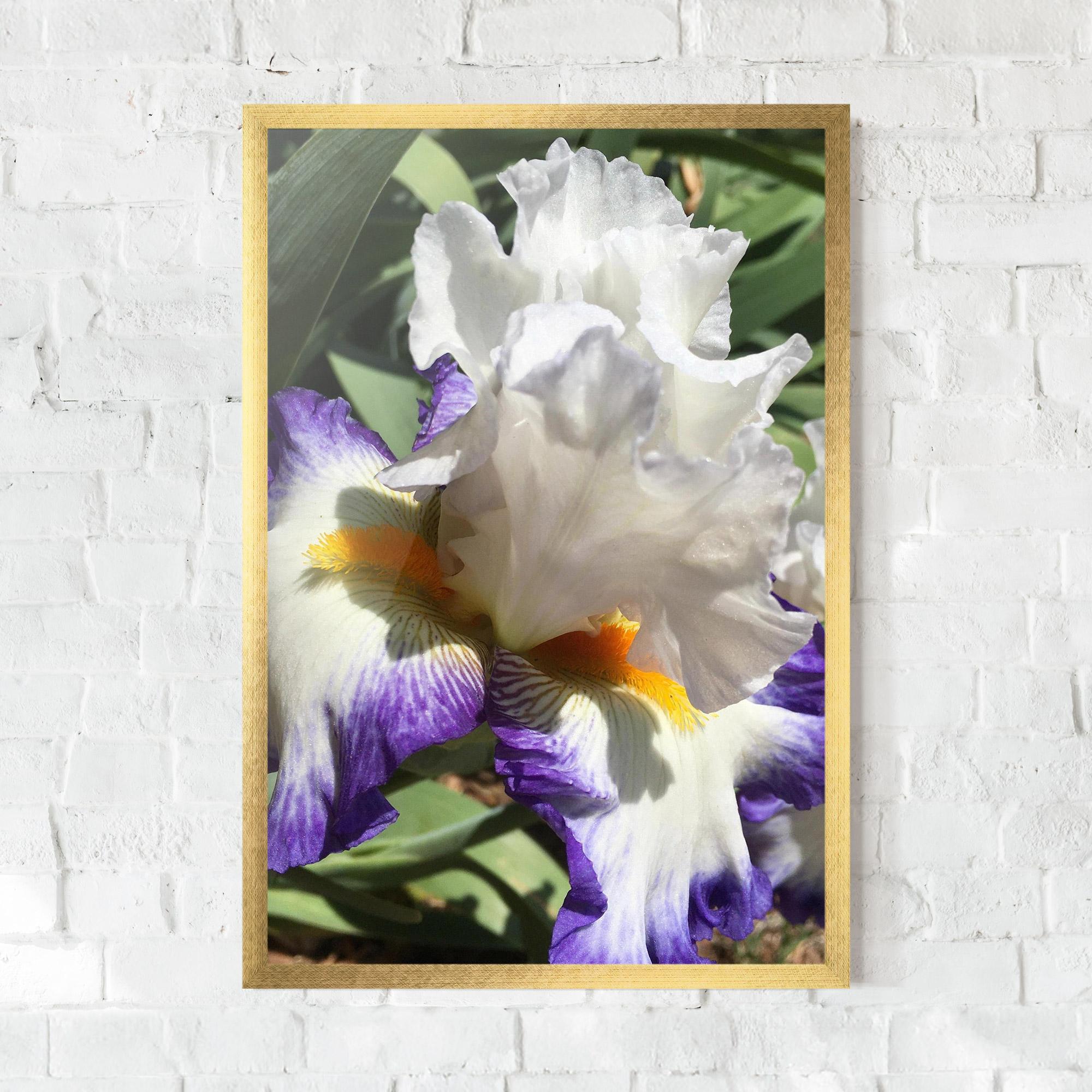 Рамкиран постер Garden White Purple Irirs mockup 0