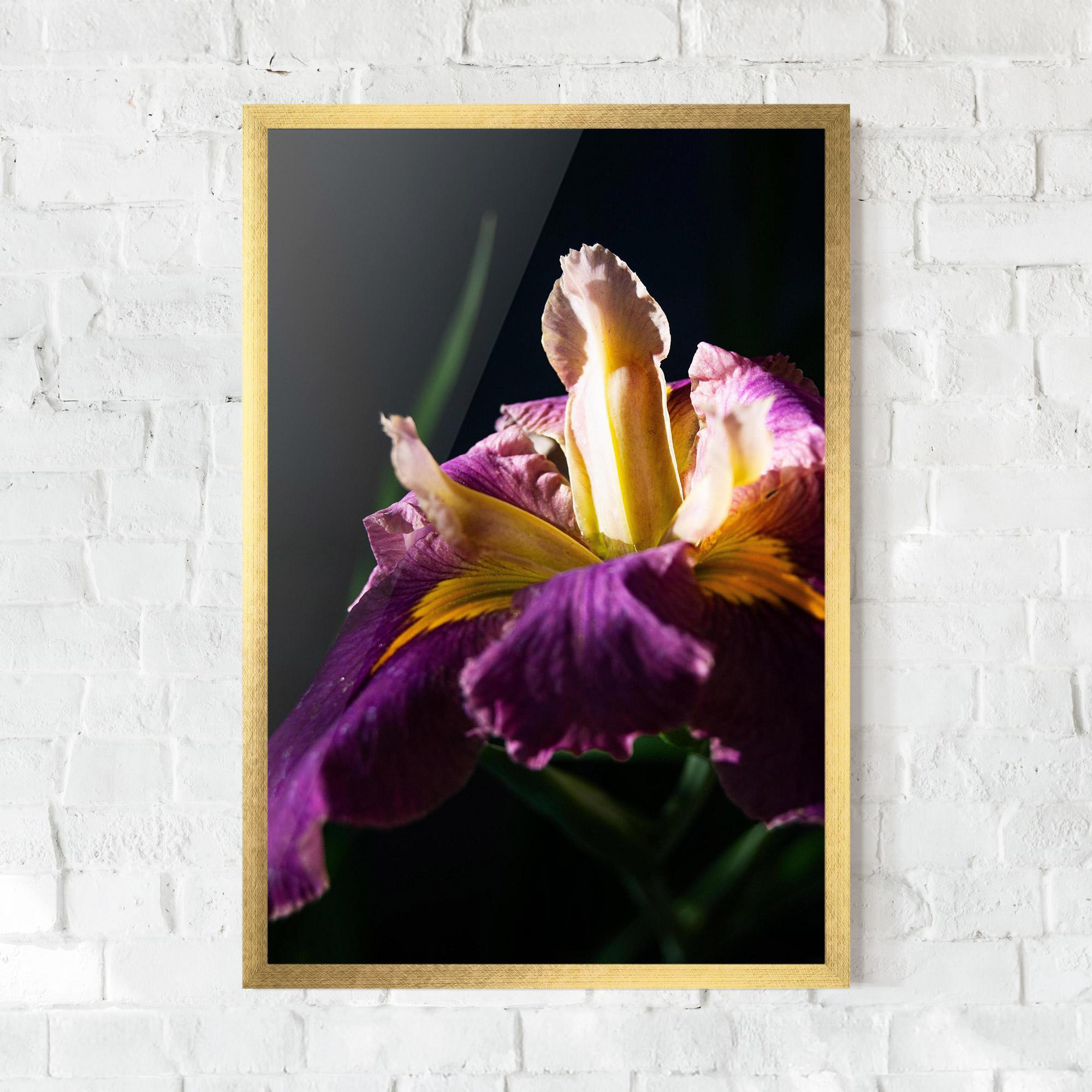 Рамкиран постер Pastel Yellow Iris mockup 0