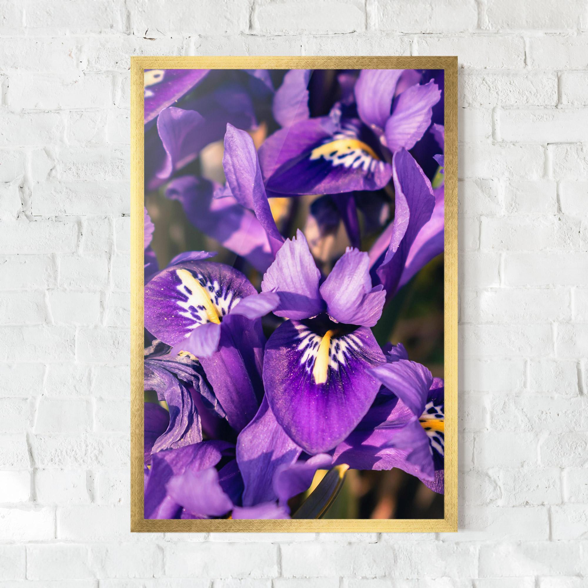 Рамкиран постер Small Purple Iris mockup 0