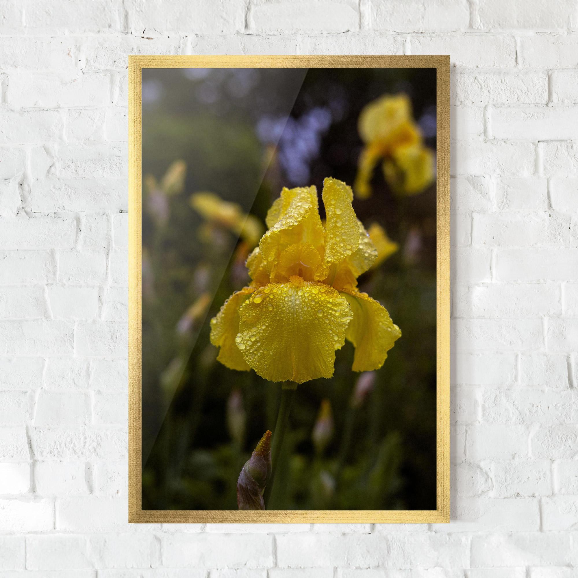 Рамкиран постер Yellow Iris After Rain mockup 0