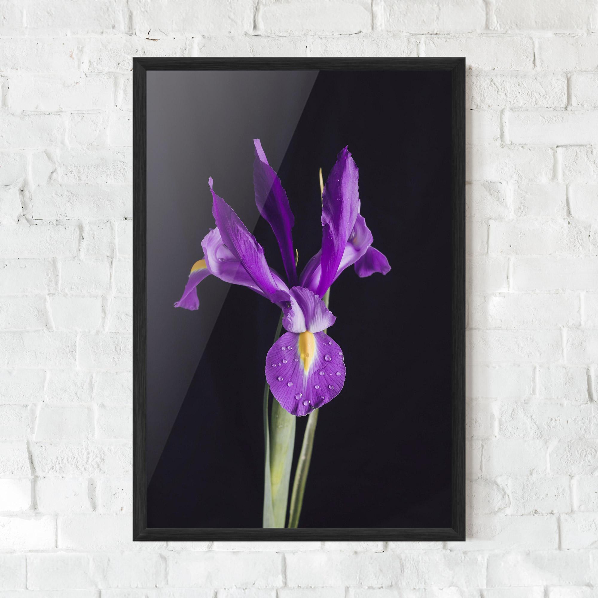 Рамкиран постер Fresh Purple Iris mockup 0