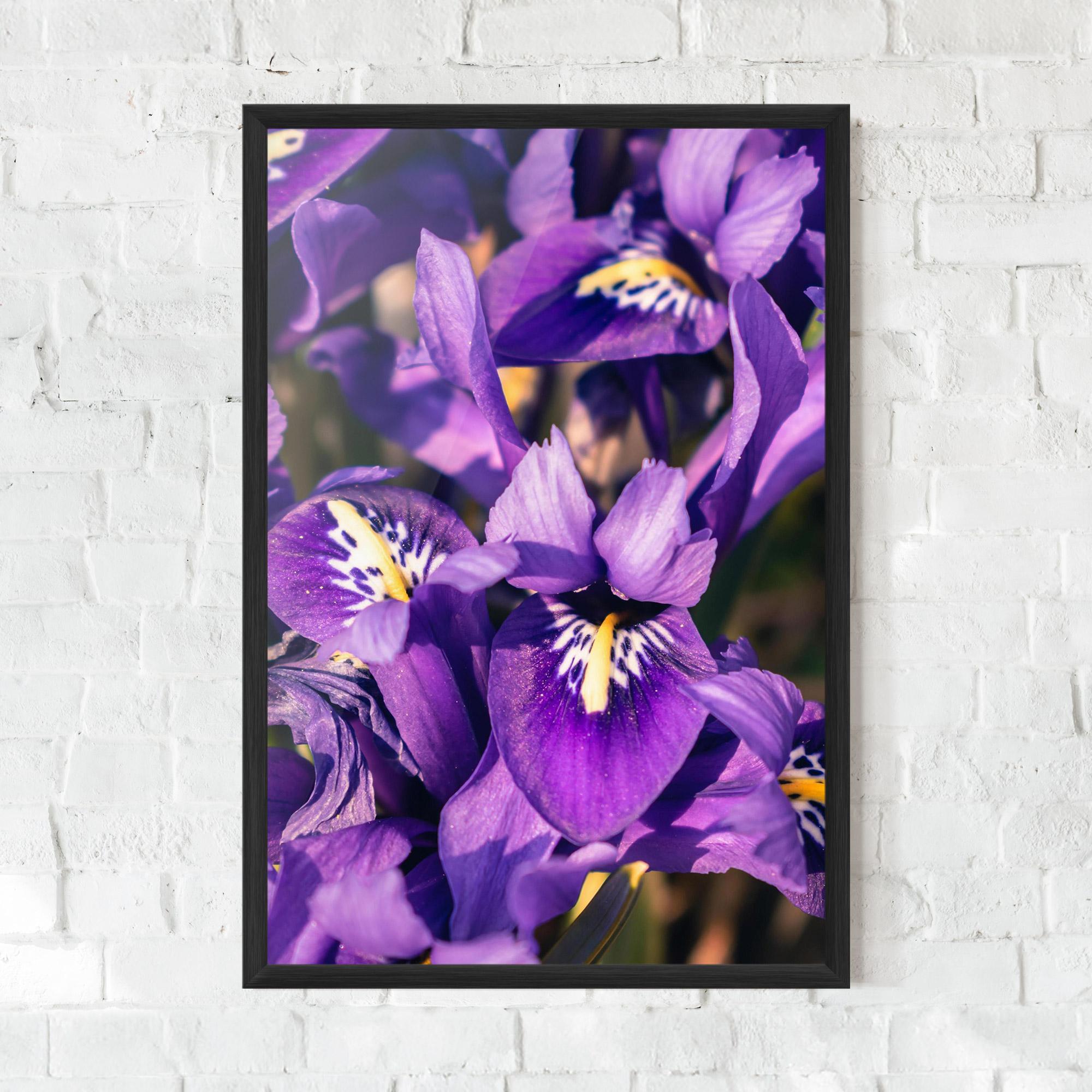 Рамкиран постер Small Purple Iris mockup 0