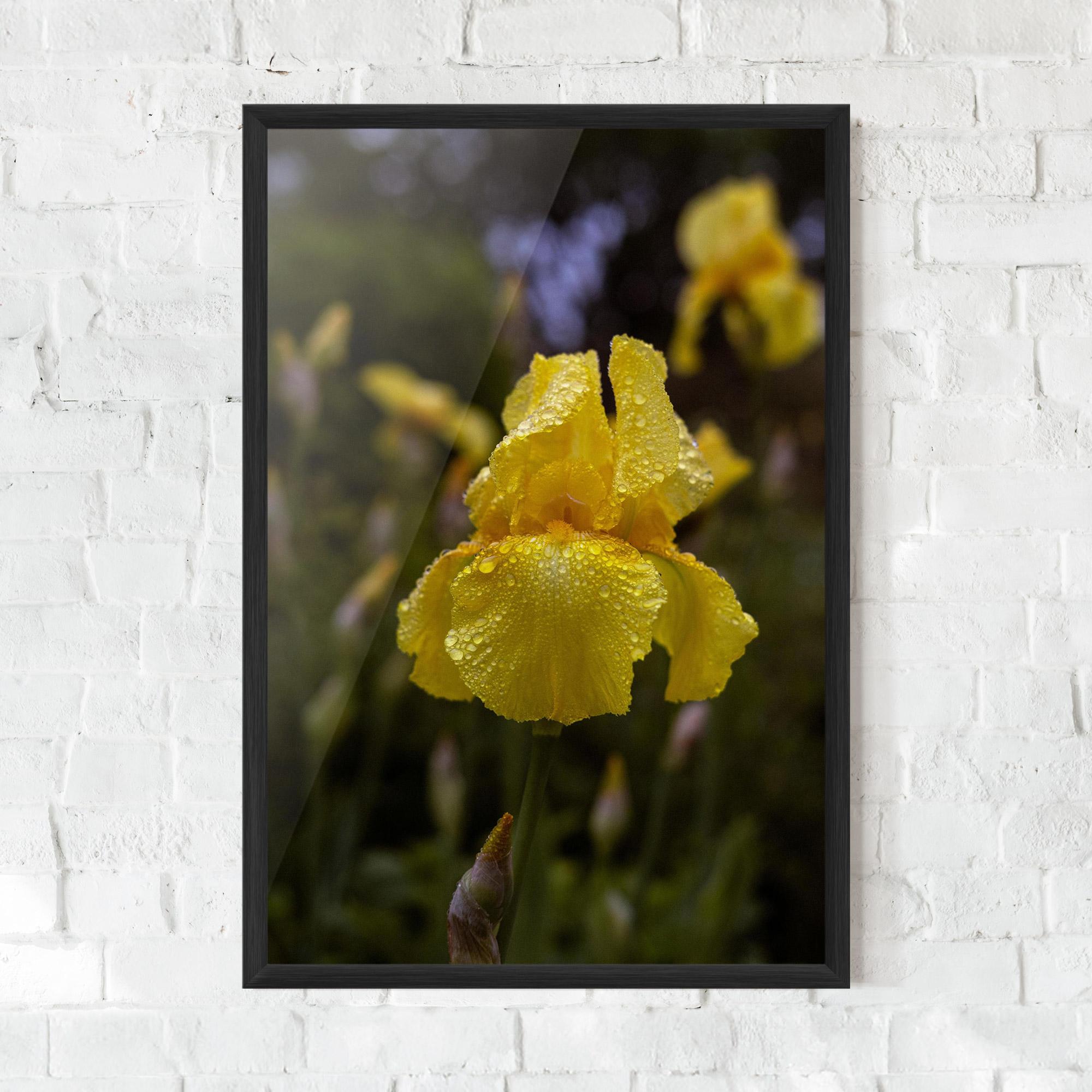 Рамкиран постер Yellow Iris After Rain mockup 0