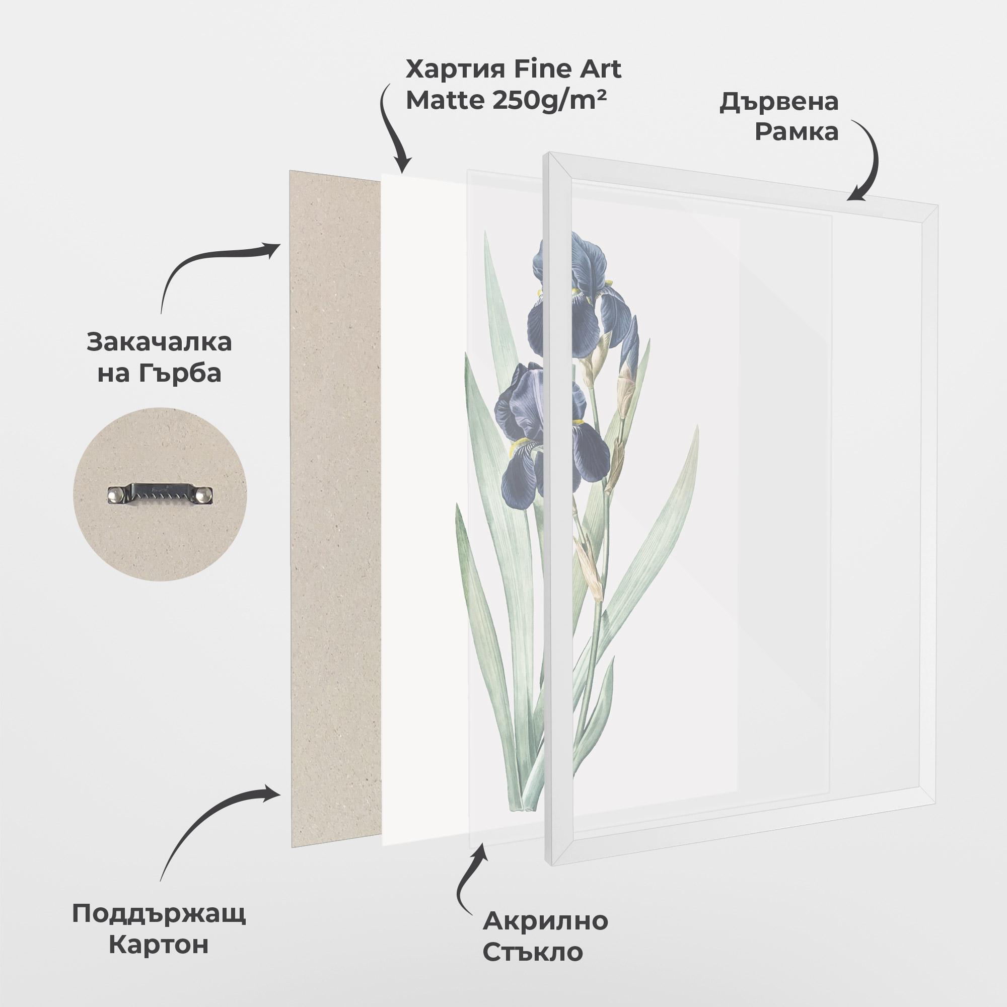 Рамкиран постер Dark Blue Iris mockup 1