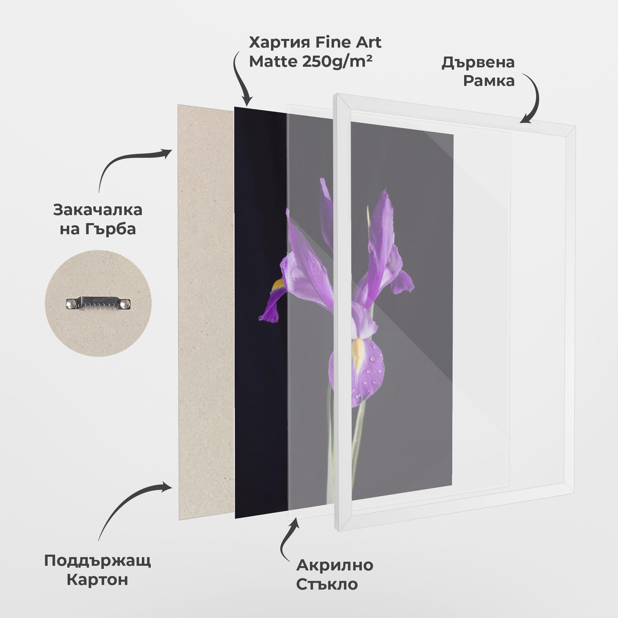 Рамкиран постер Fresh Purple Iris mockup 1