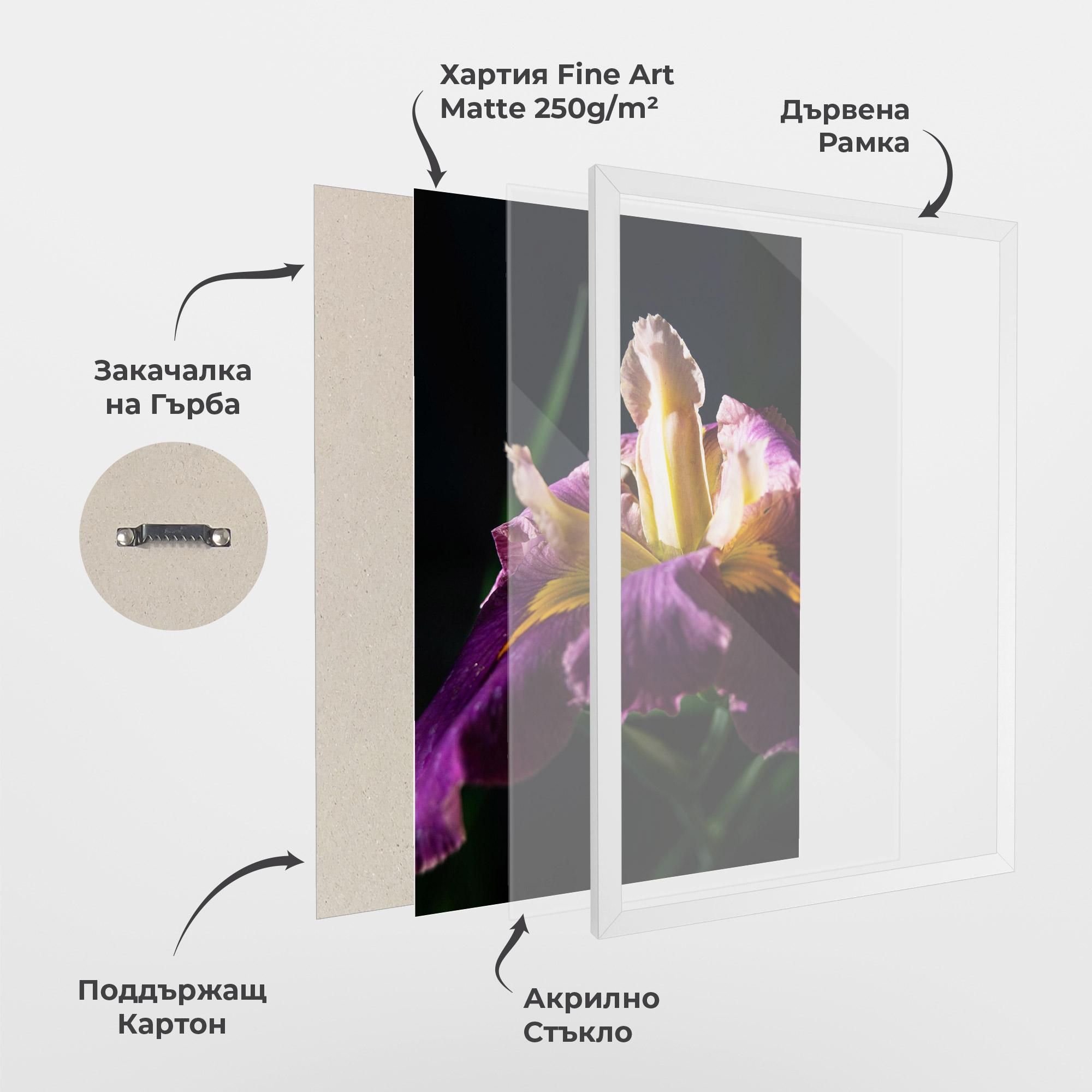 Рамкиран постер Pastel Yellow Iris mockup 1