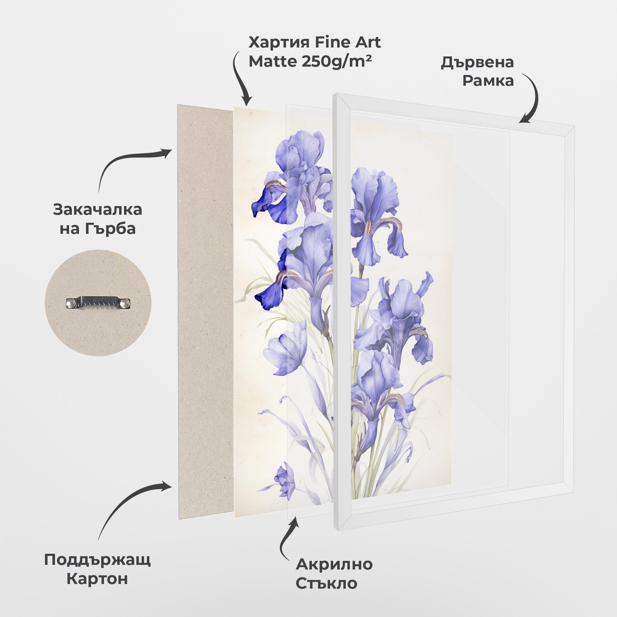 Purple Iris On Cream mockup 1