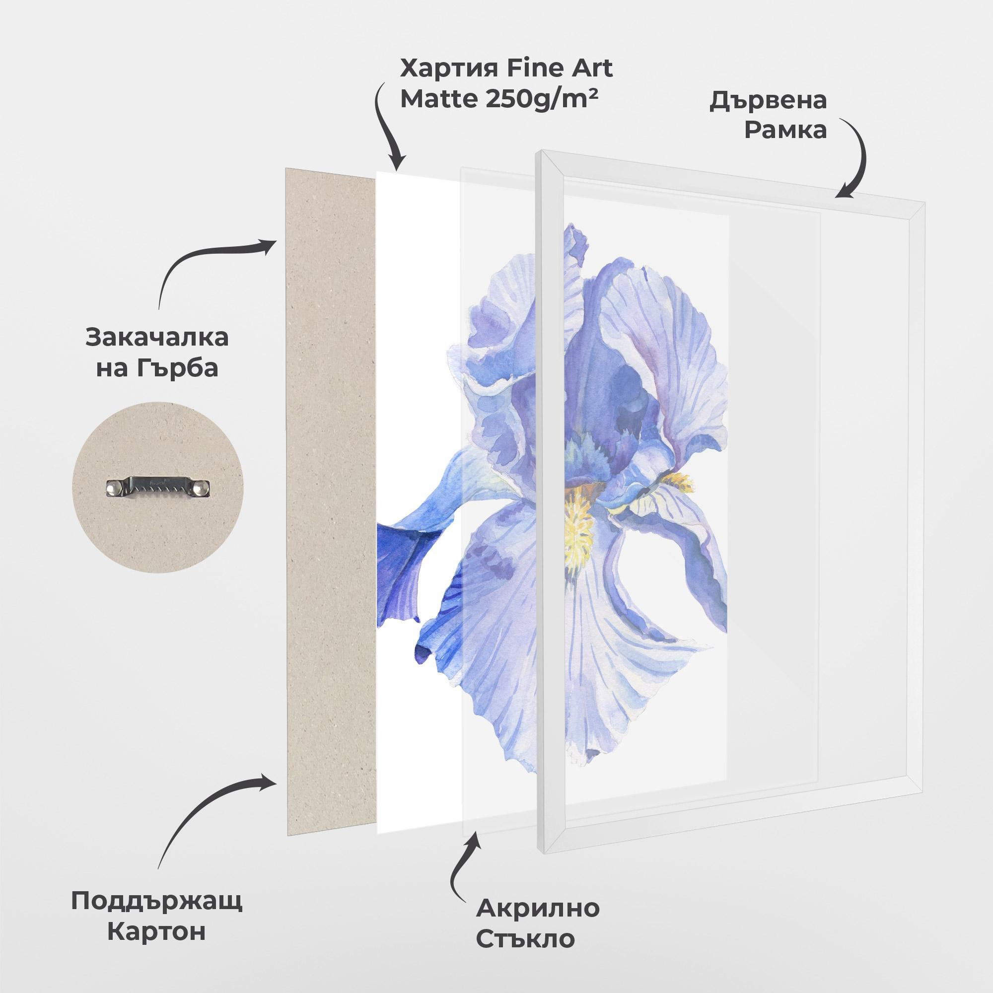 Рамкиран постер Purple Iris On White mockup 1