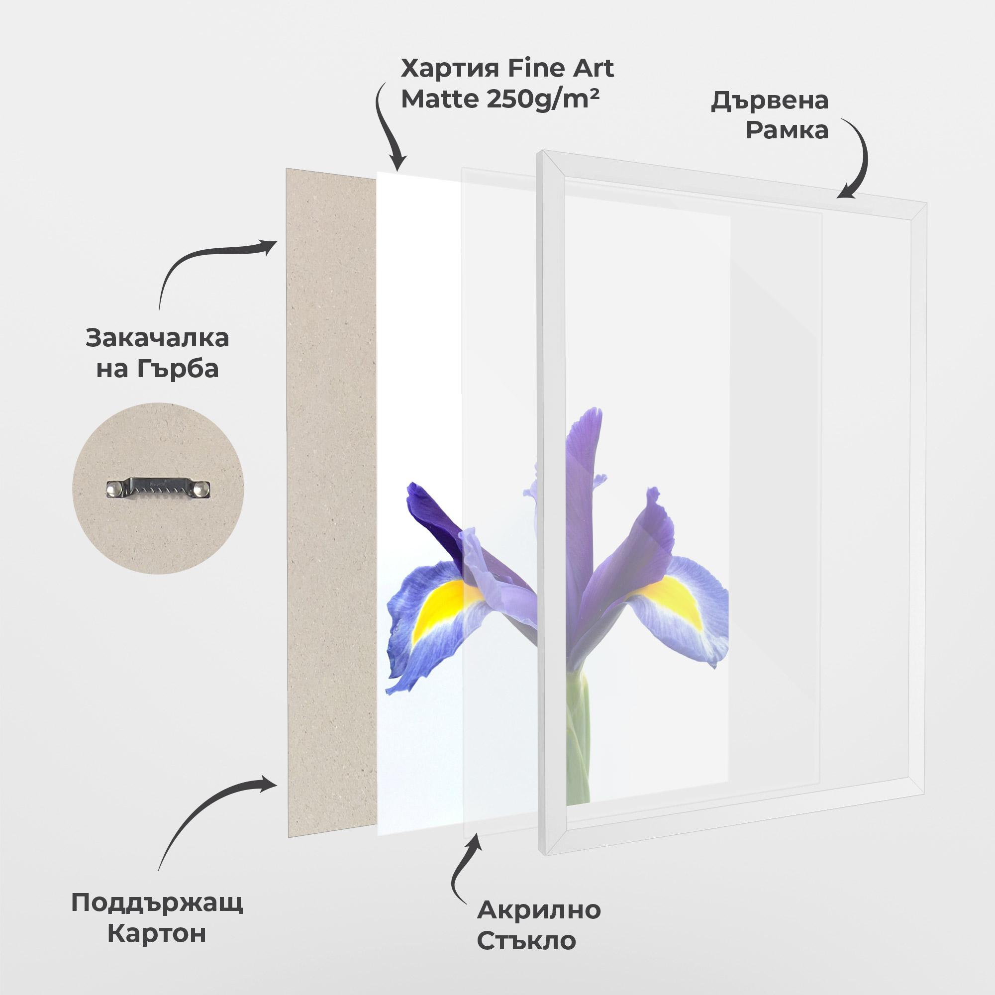 Рамкиран постер Yellow Color Iris mockup 1
