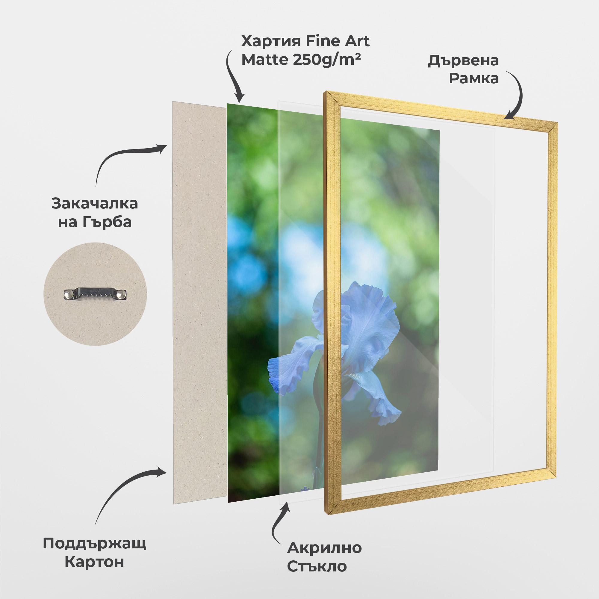 Рамкиран постер Blue Iris In The Garden mockup 1