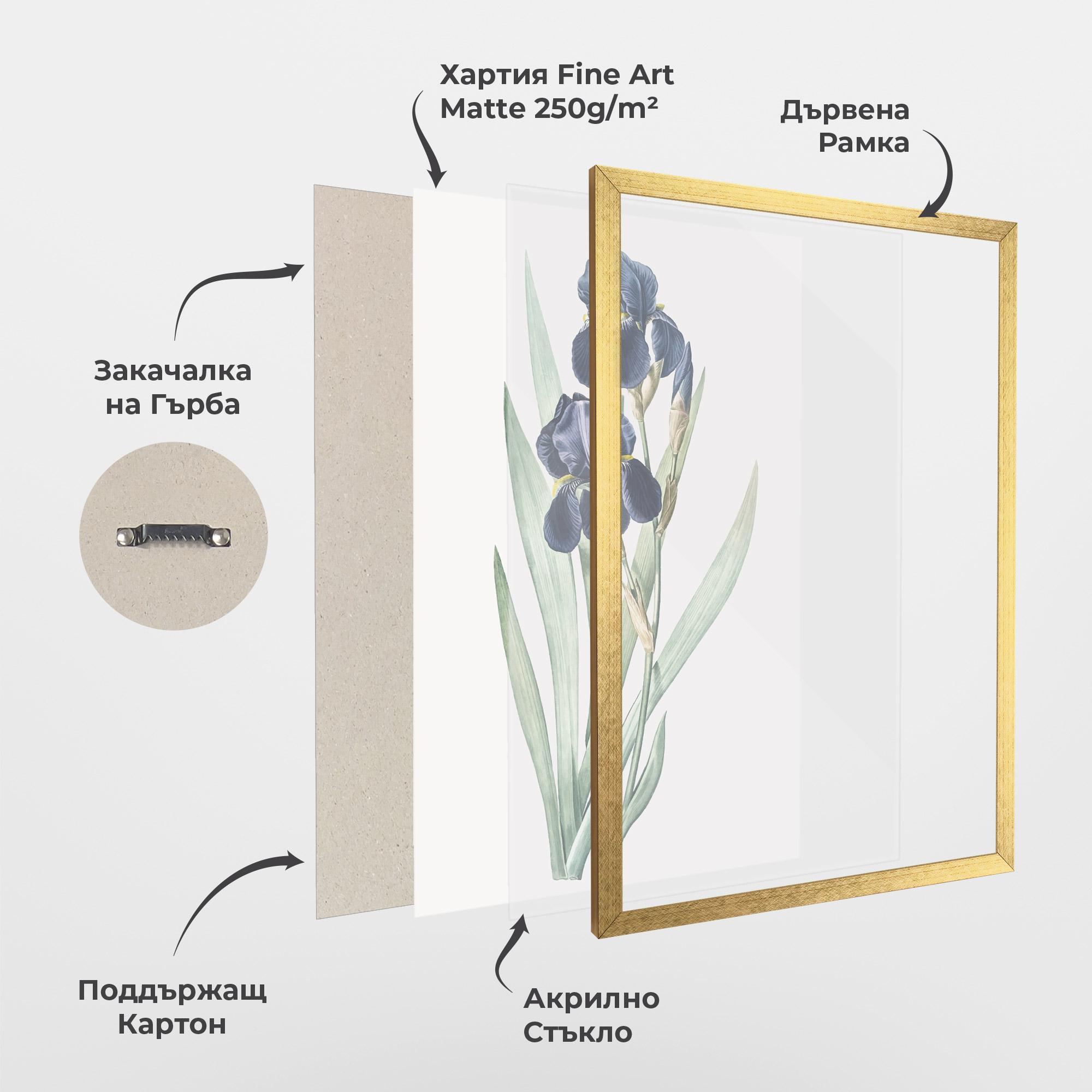 Рамкиран постер Dark Blue Iris mockup 1