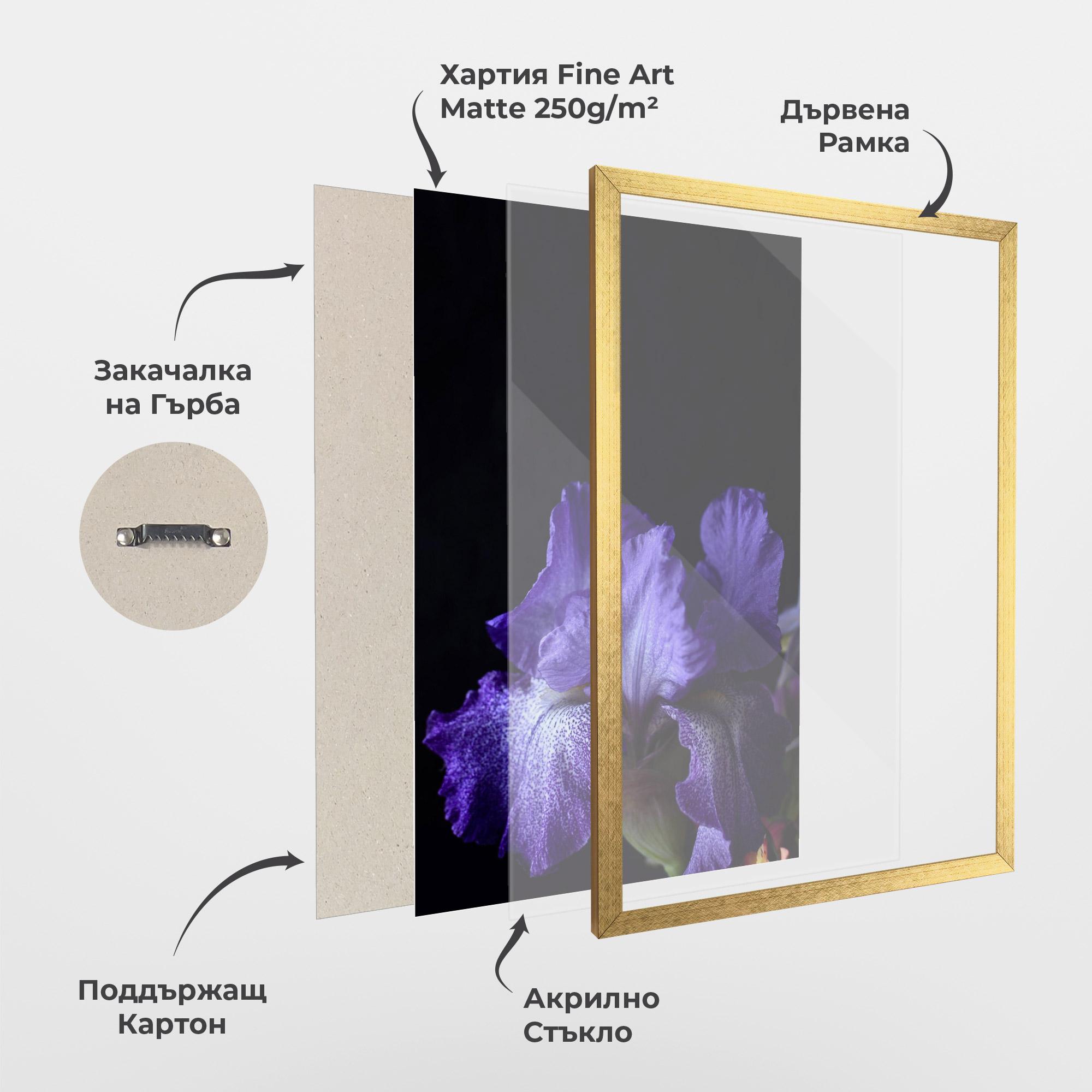 Рамкиран постер Dark Purple Iris On Black mockup 1