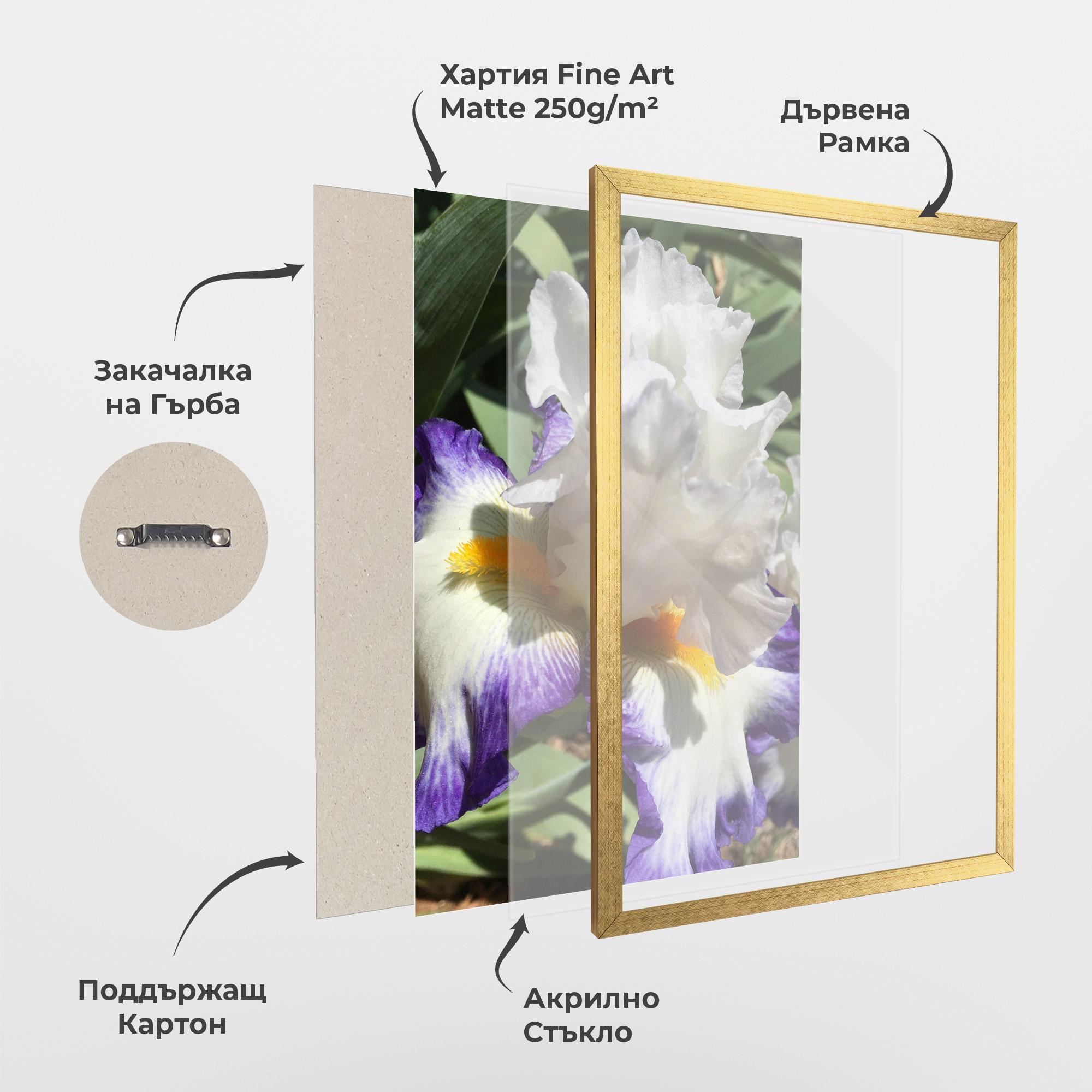 Рамкиран постер Garden White Purple Irirs mockup 1