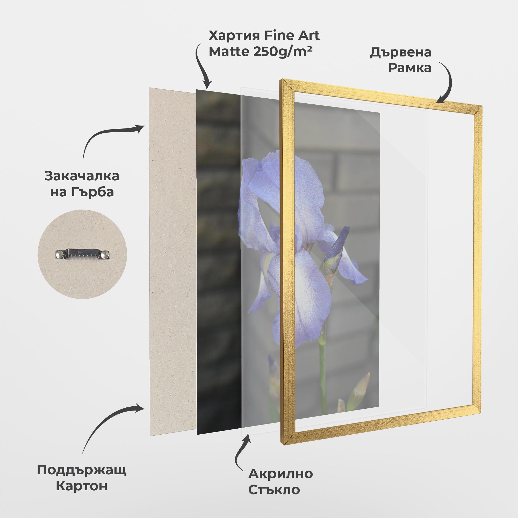 Рамкиран постер Purple Iris On Gray mockup 1