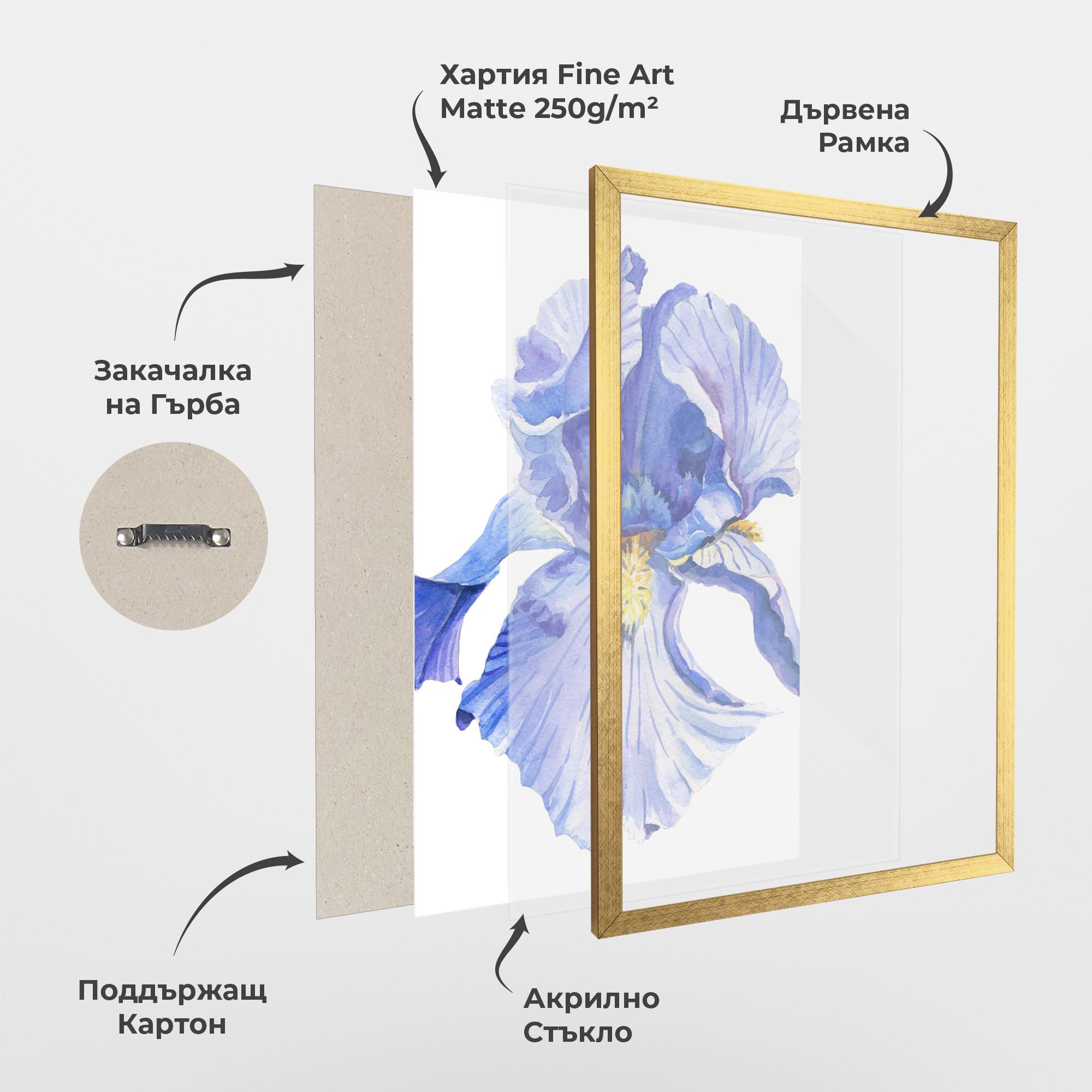 Рамкиран постер Purple Iris On White mockup 1