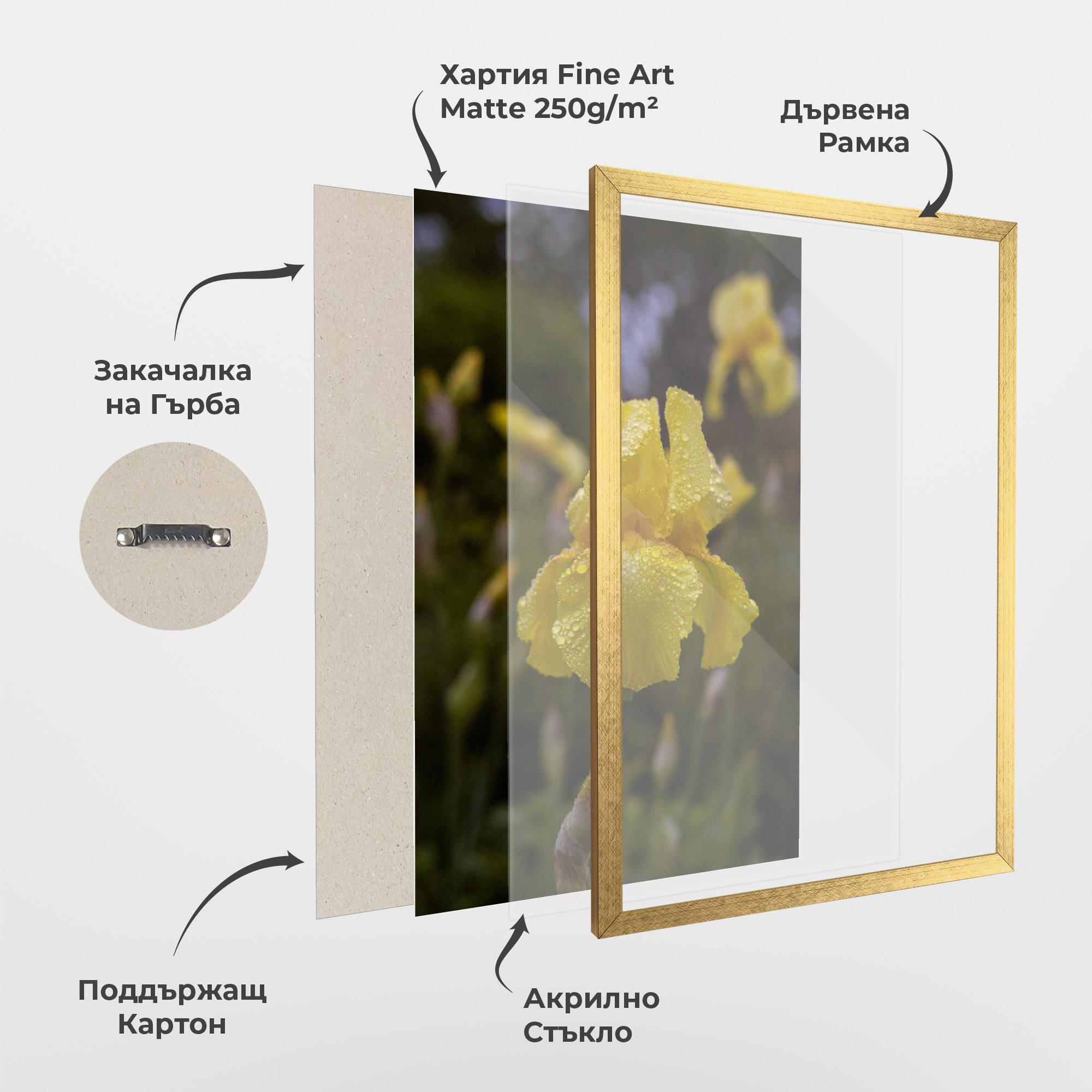 Рамкиран постер Yellow Iris After Rain mockup 1