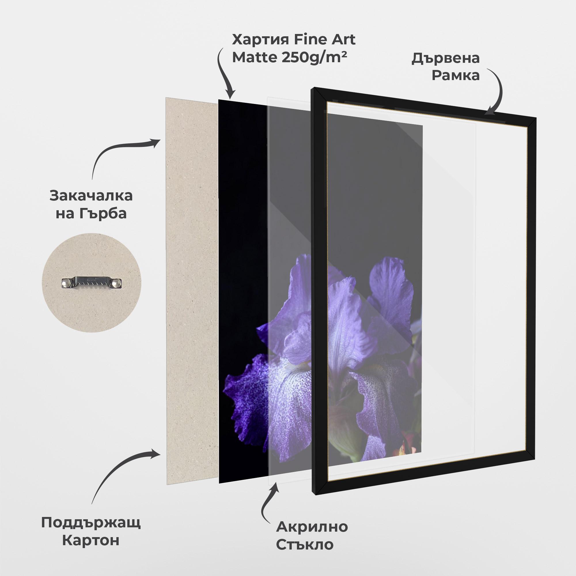 Рамкиран постер Dark Purple Iris On Black mockup 1