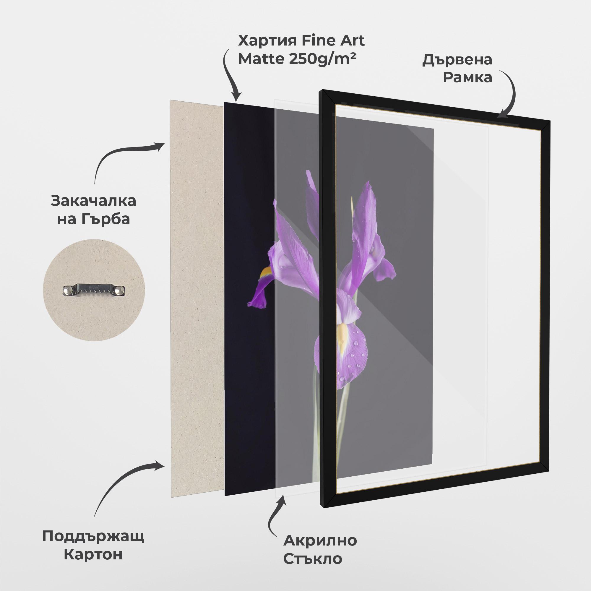 Рамкиран постер Fresh Purple Iris mockup 1