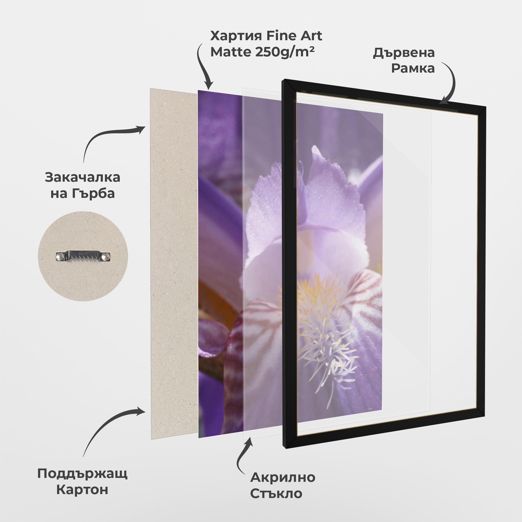 Рамкиран постер Purple Iris Close Up mockup 1