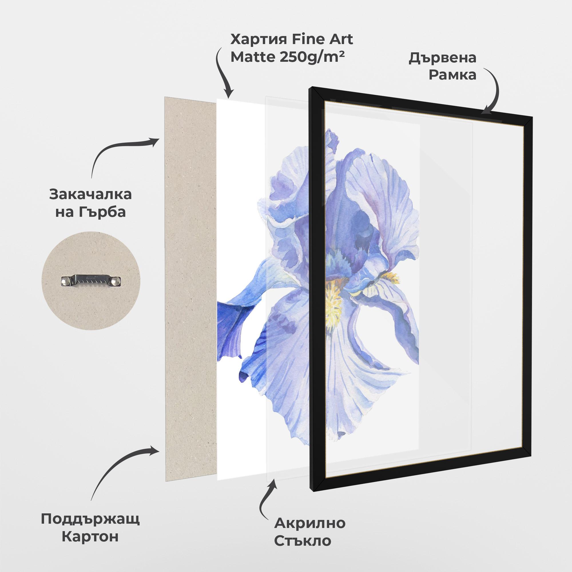Рамкиран постер Purple Iris On White mockup 1