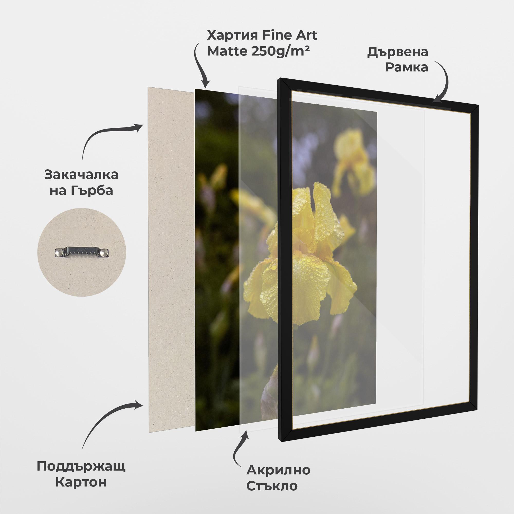 Рамкиран постер Yellow Iris After Rain mockup 1