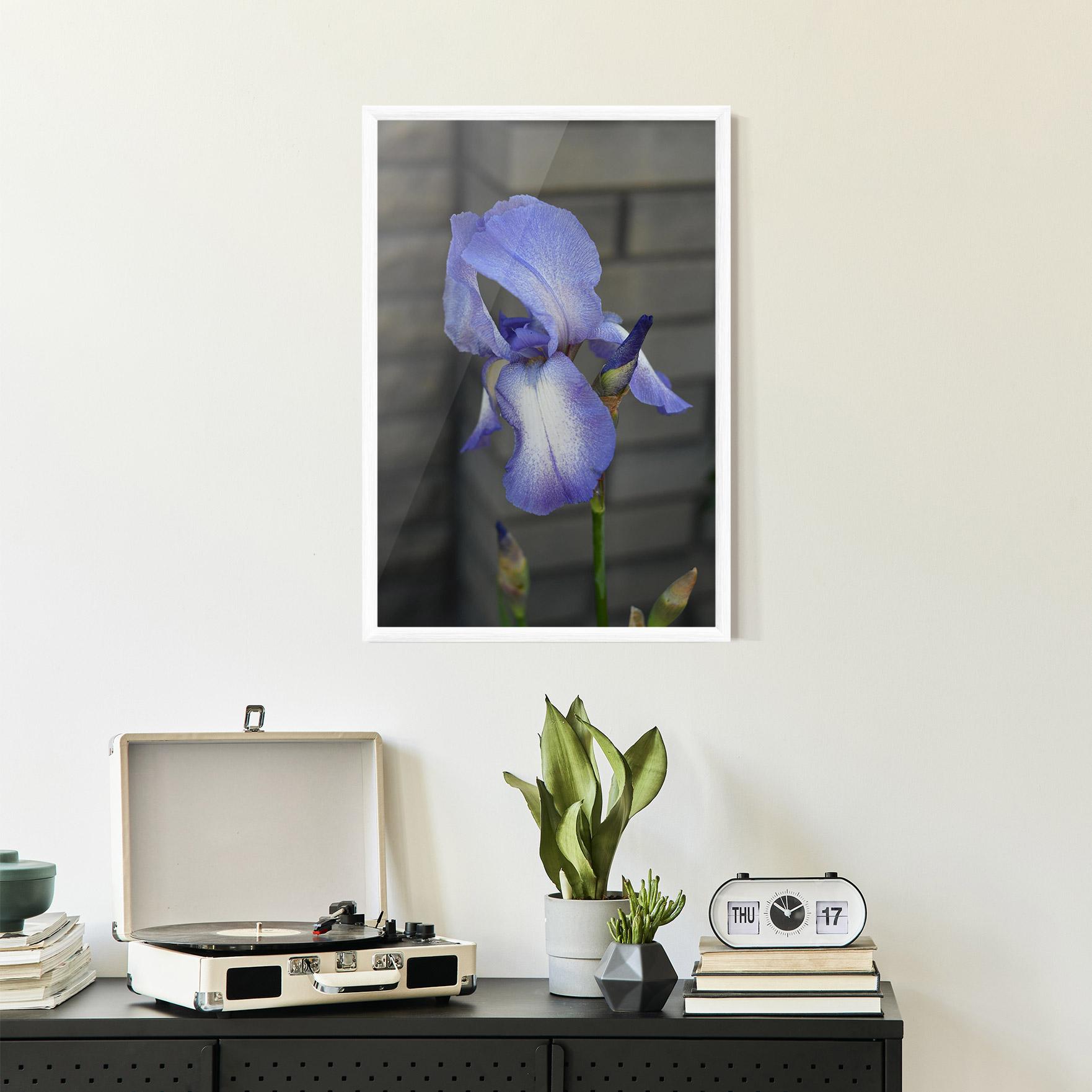 Рамкиран постер Purple Iris On Gray mockup 2