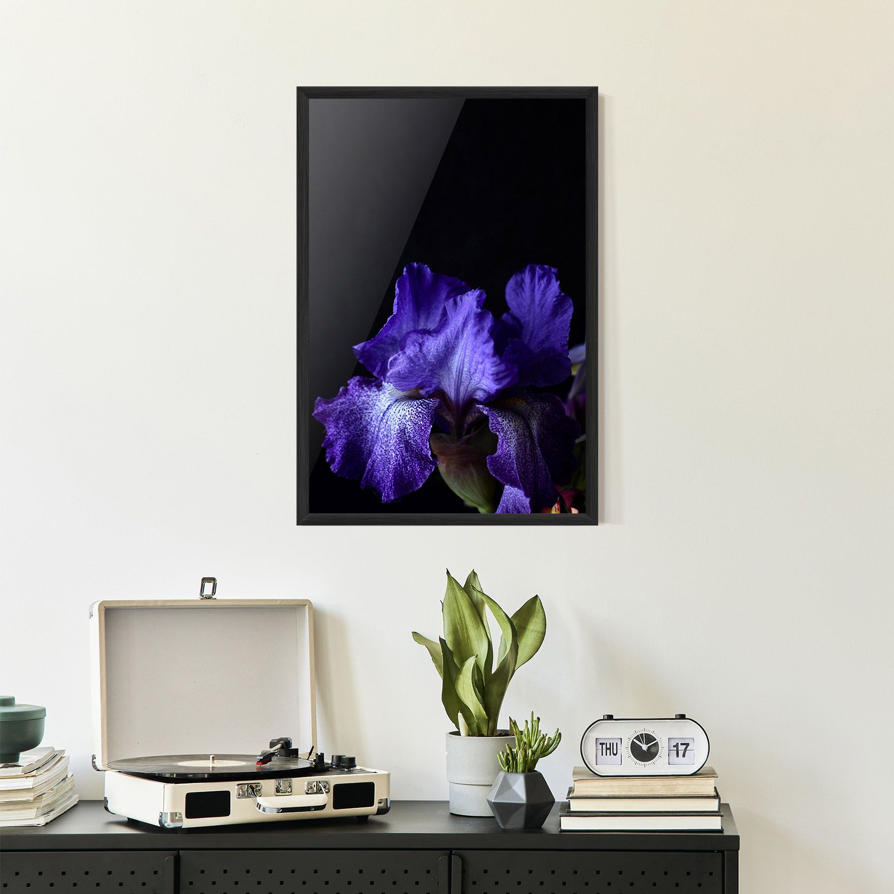 Dark Purple Iris On Black mockup 2