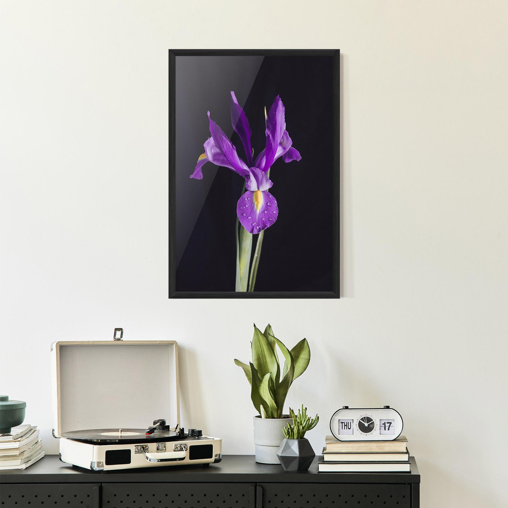 Рамкиран постер Fresh Purple Iris mockup 2