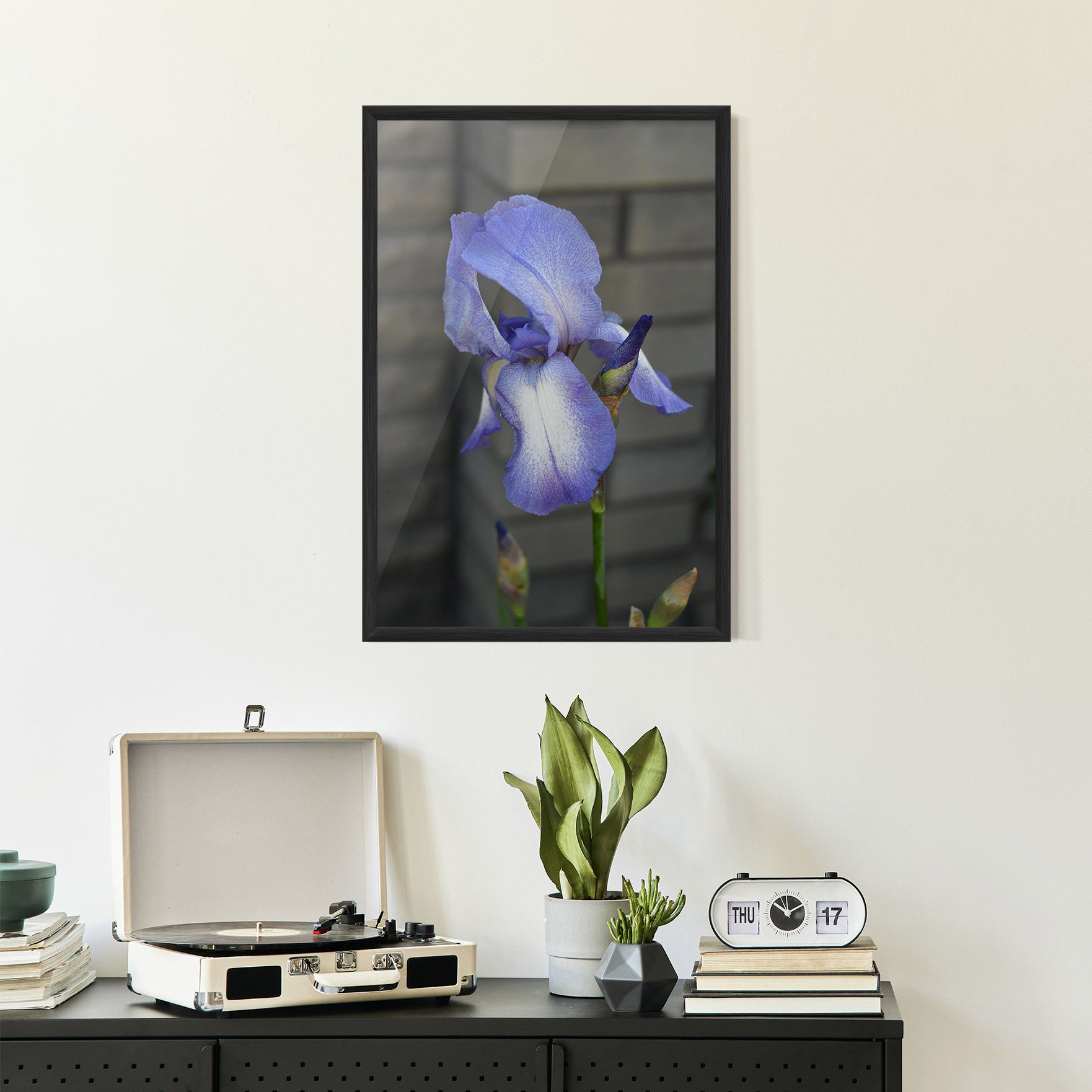 Purple Iris On Gray mockup 2