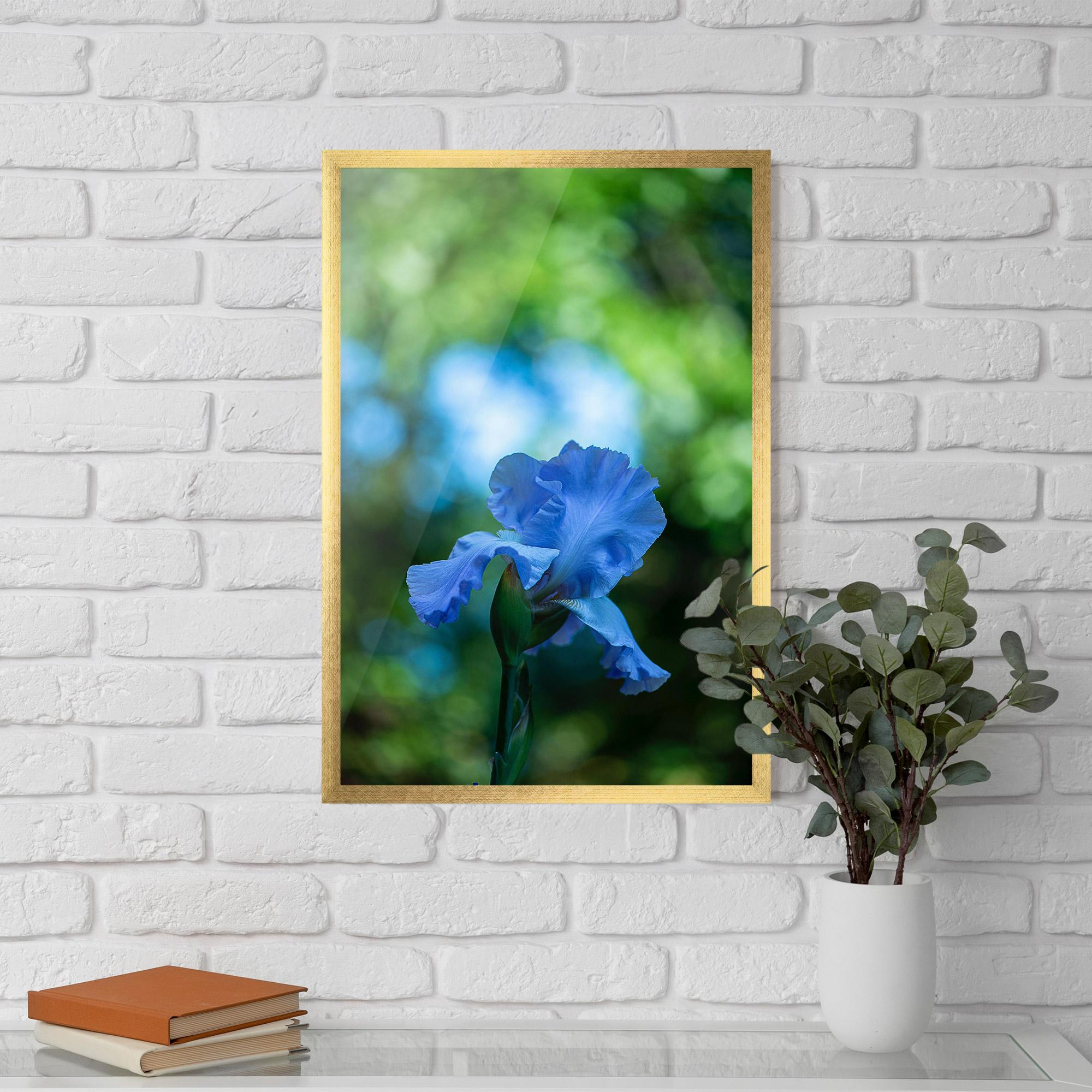 Рамкиран постер Blue Iris In The Garden mockup 5