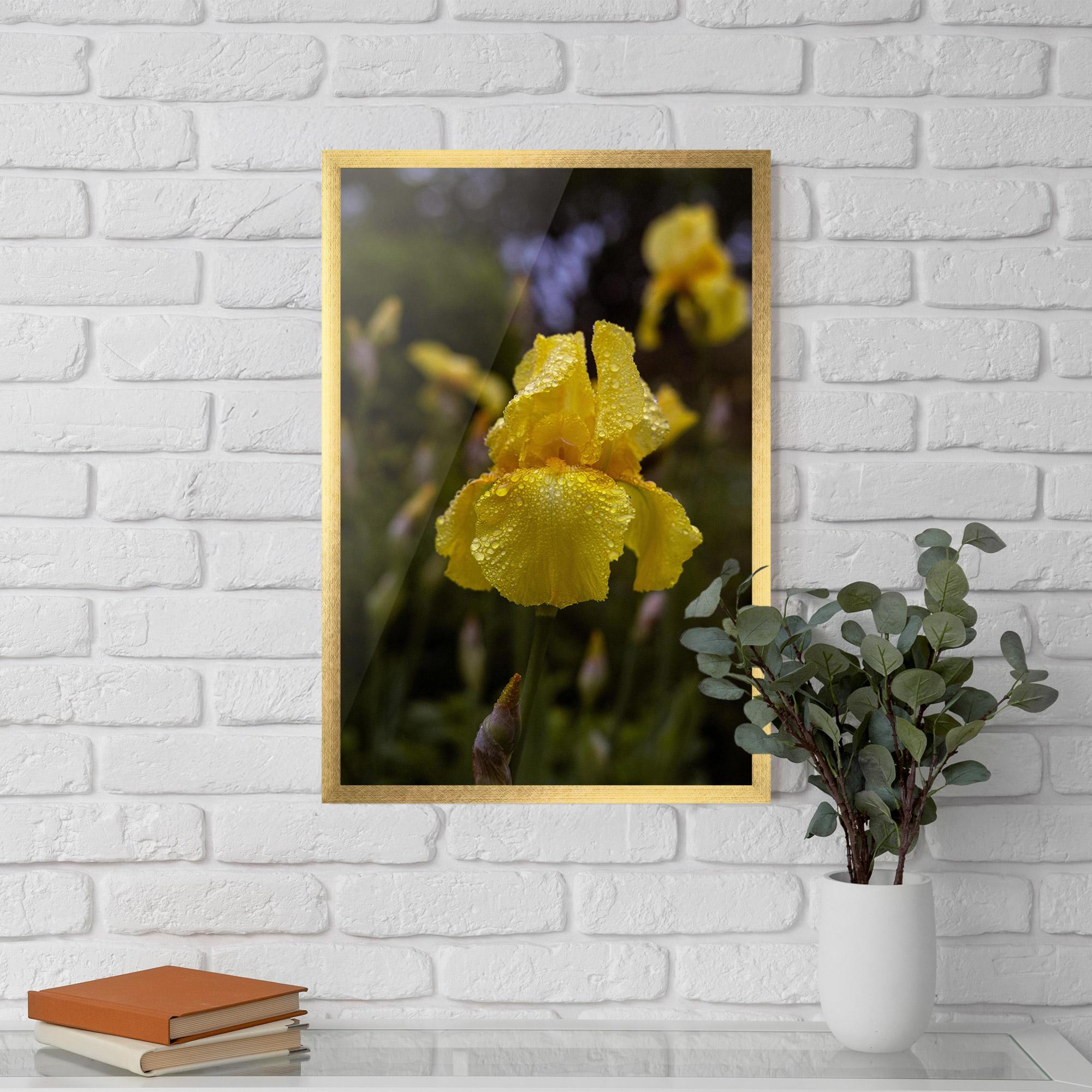 Рамкиран постер Yellow Iris After Rain mockup 5