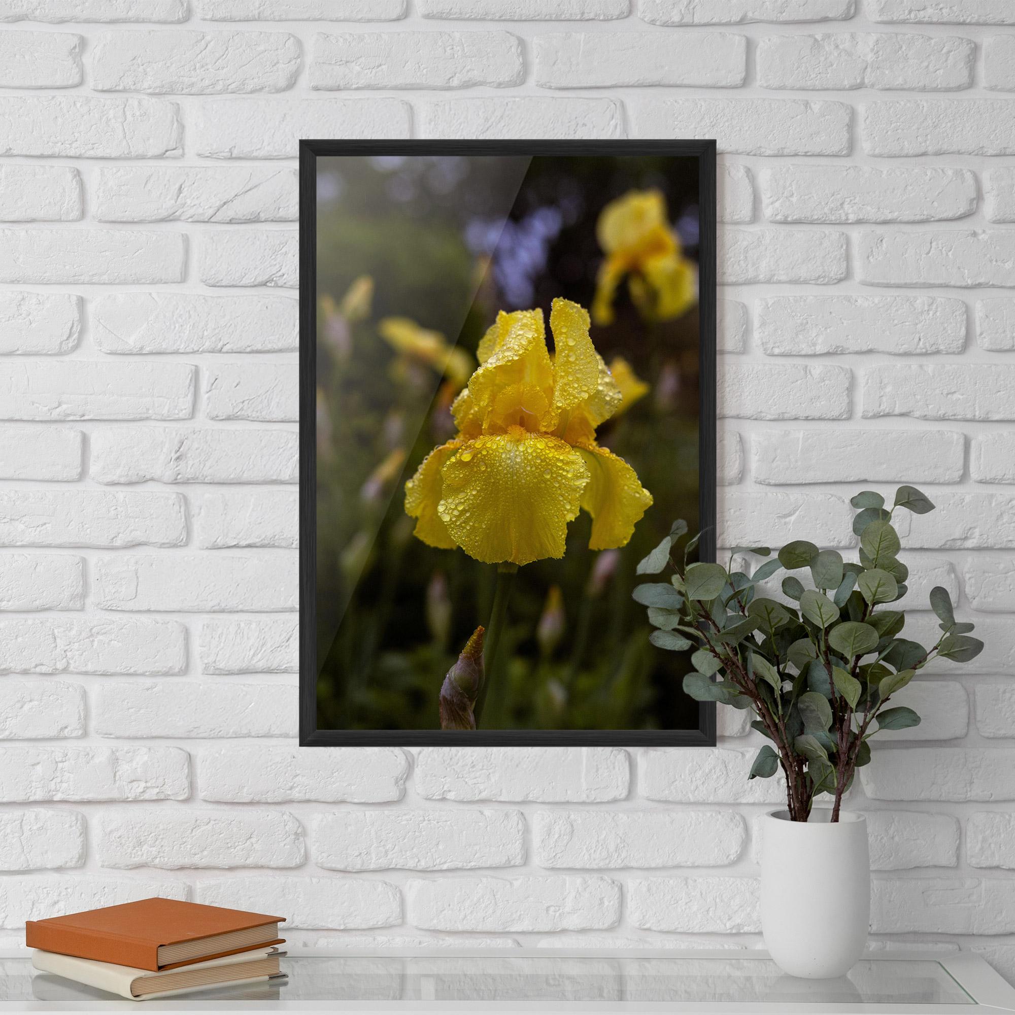 Рамкиран постер Yellow Iris After Rain mockup 5